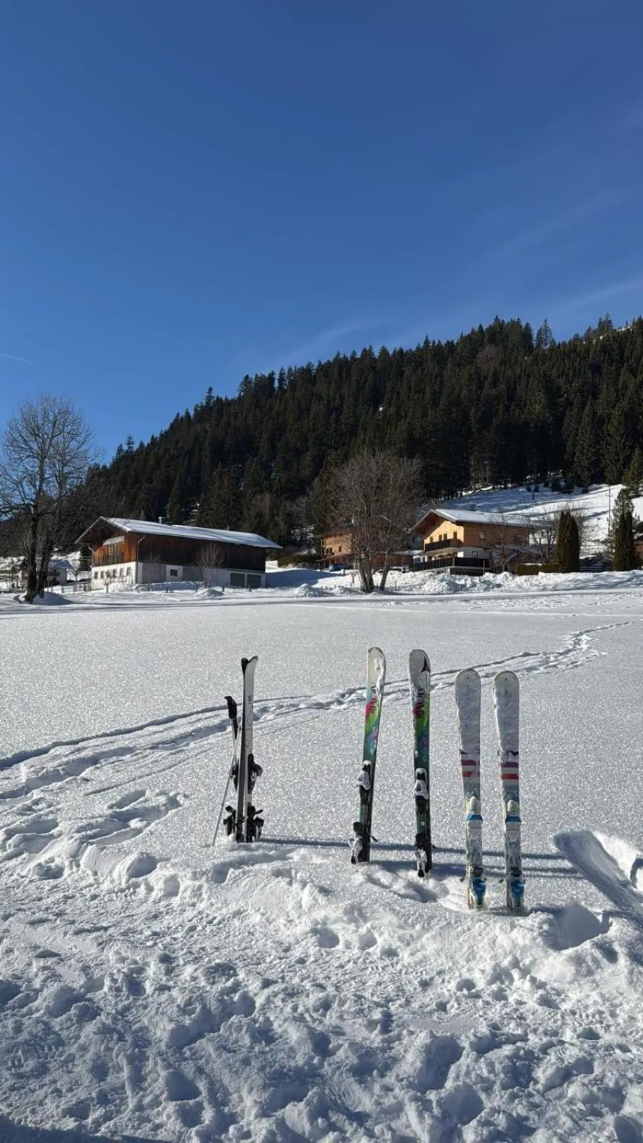 Skiing in Hotel Bergglück