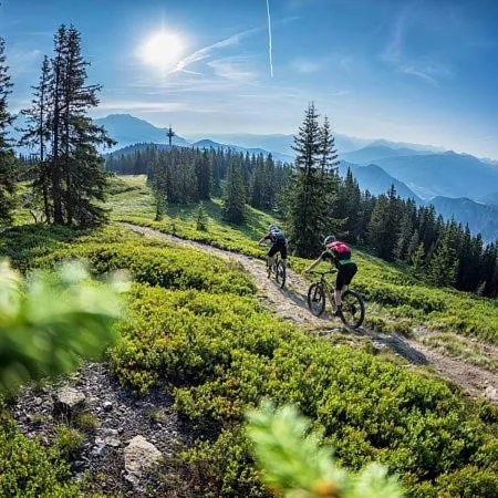 Natural landscape in Hotel Bergglück