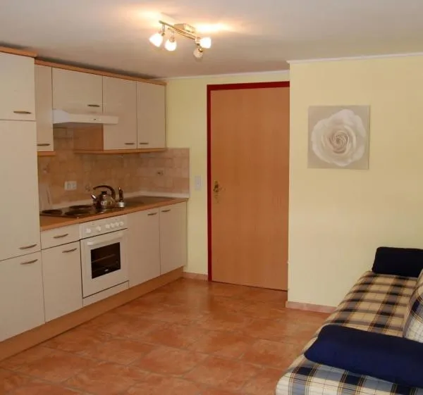 Kitchen or kitchenette in Hotel Bergglück