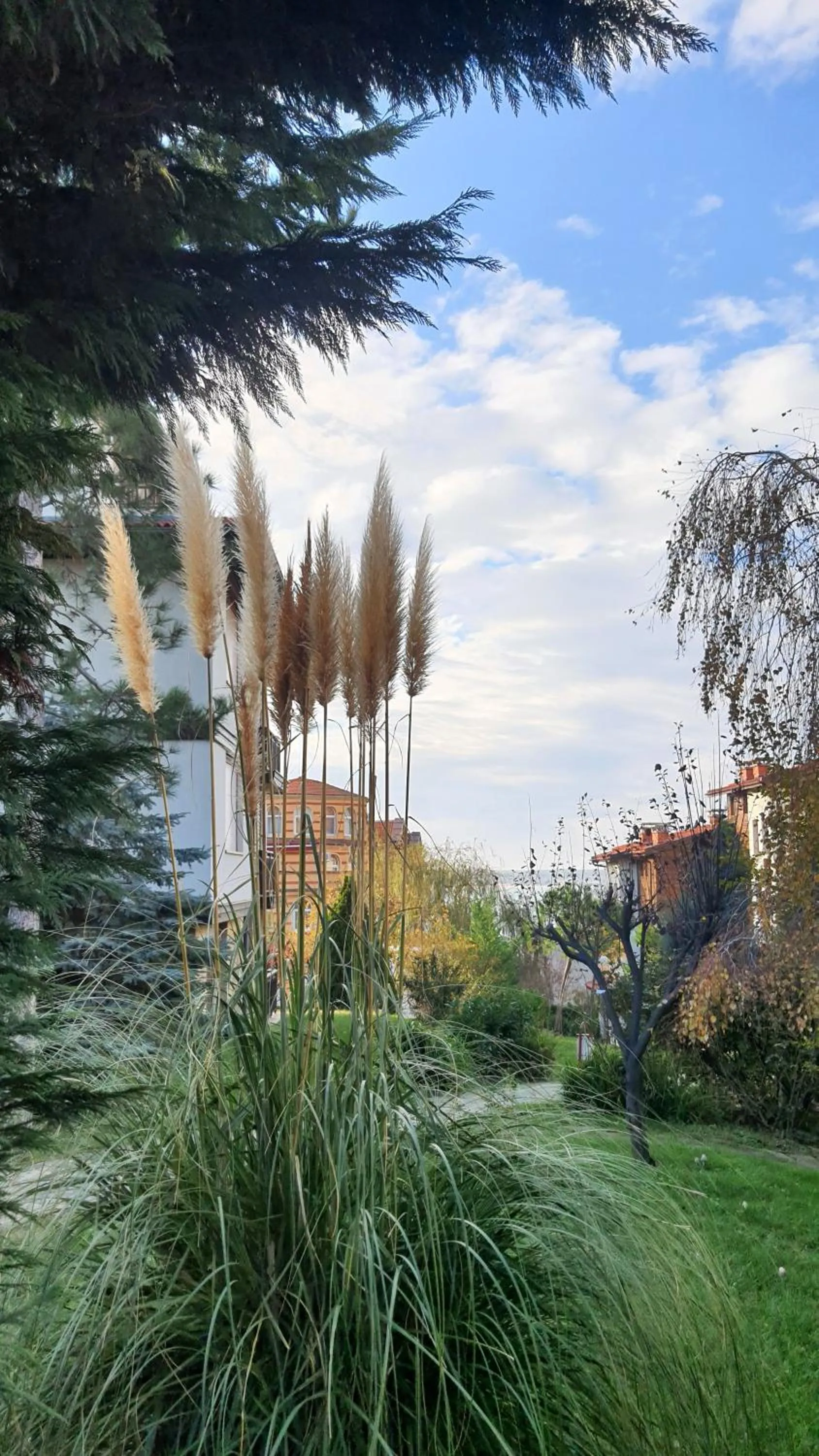 Garden in Santa Marina Holiday Village - Blue Magic