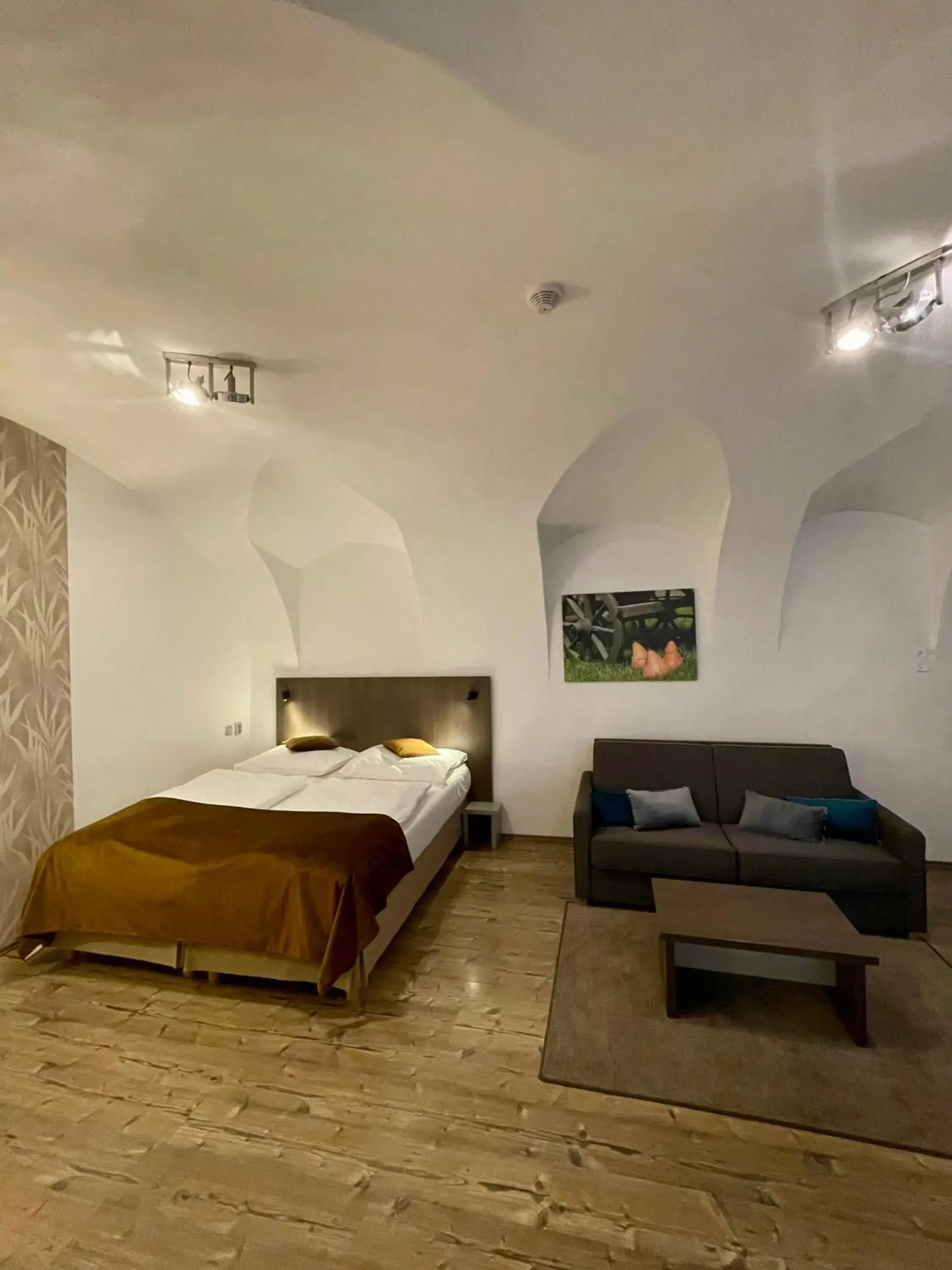 Studio Apartment - single occupancy in Hotel U Tří hrušek suites & apartments Studio Apartment - single occupancy in Hotel U Tří hrušek suites & apartments