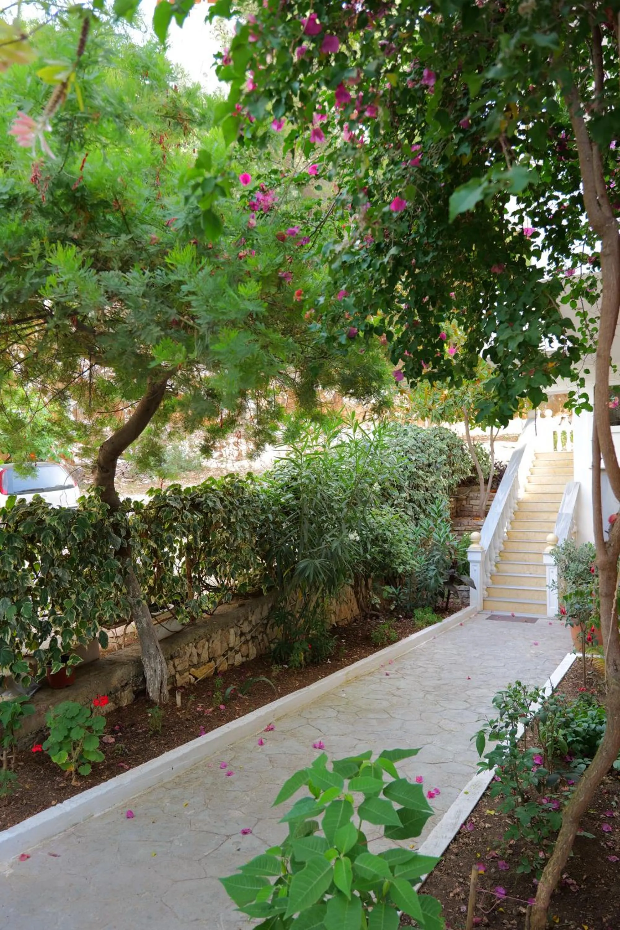 Garden in Hotel Rixhi