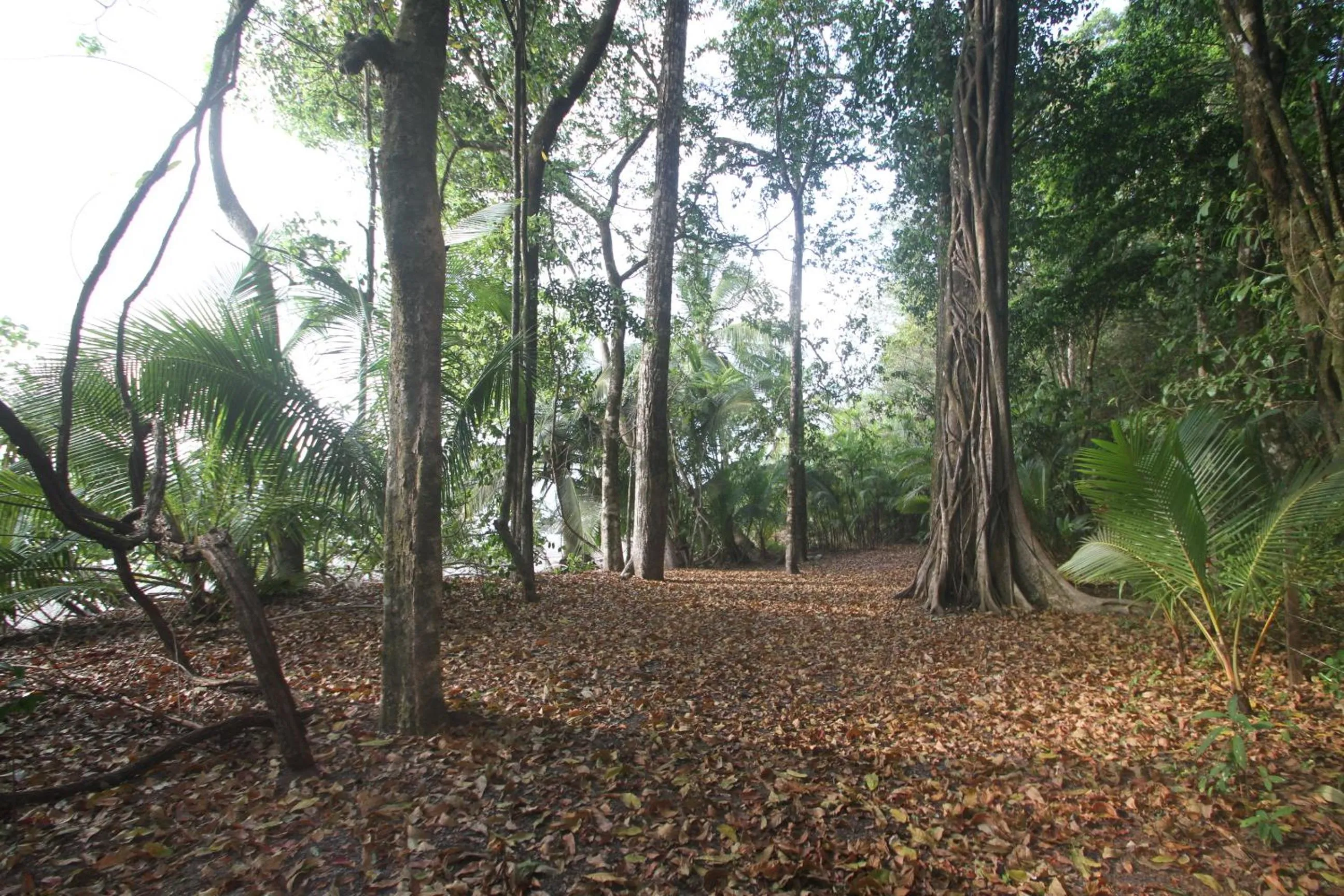 Garden in Camino del Sol