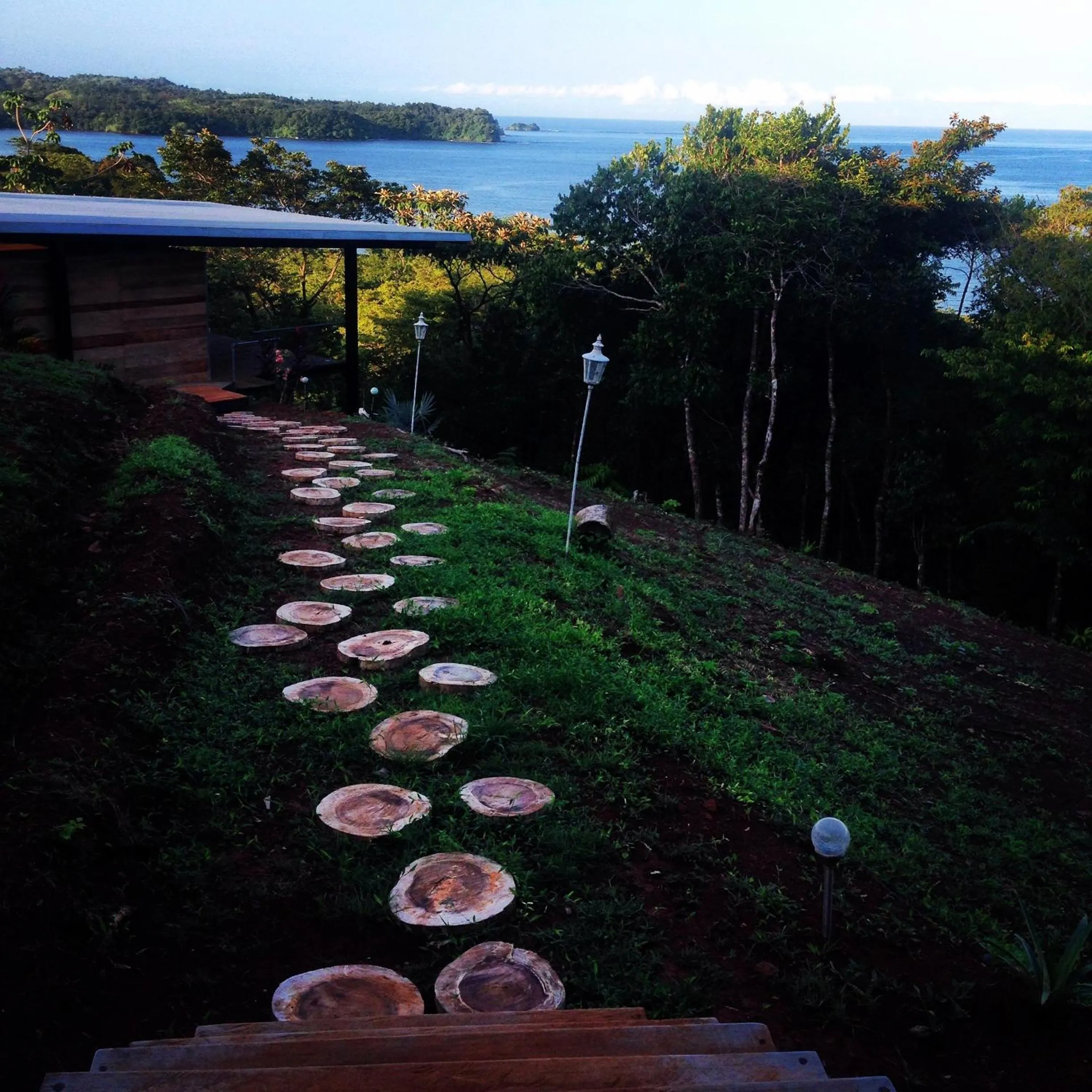 Garden in Camino del Sol