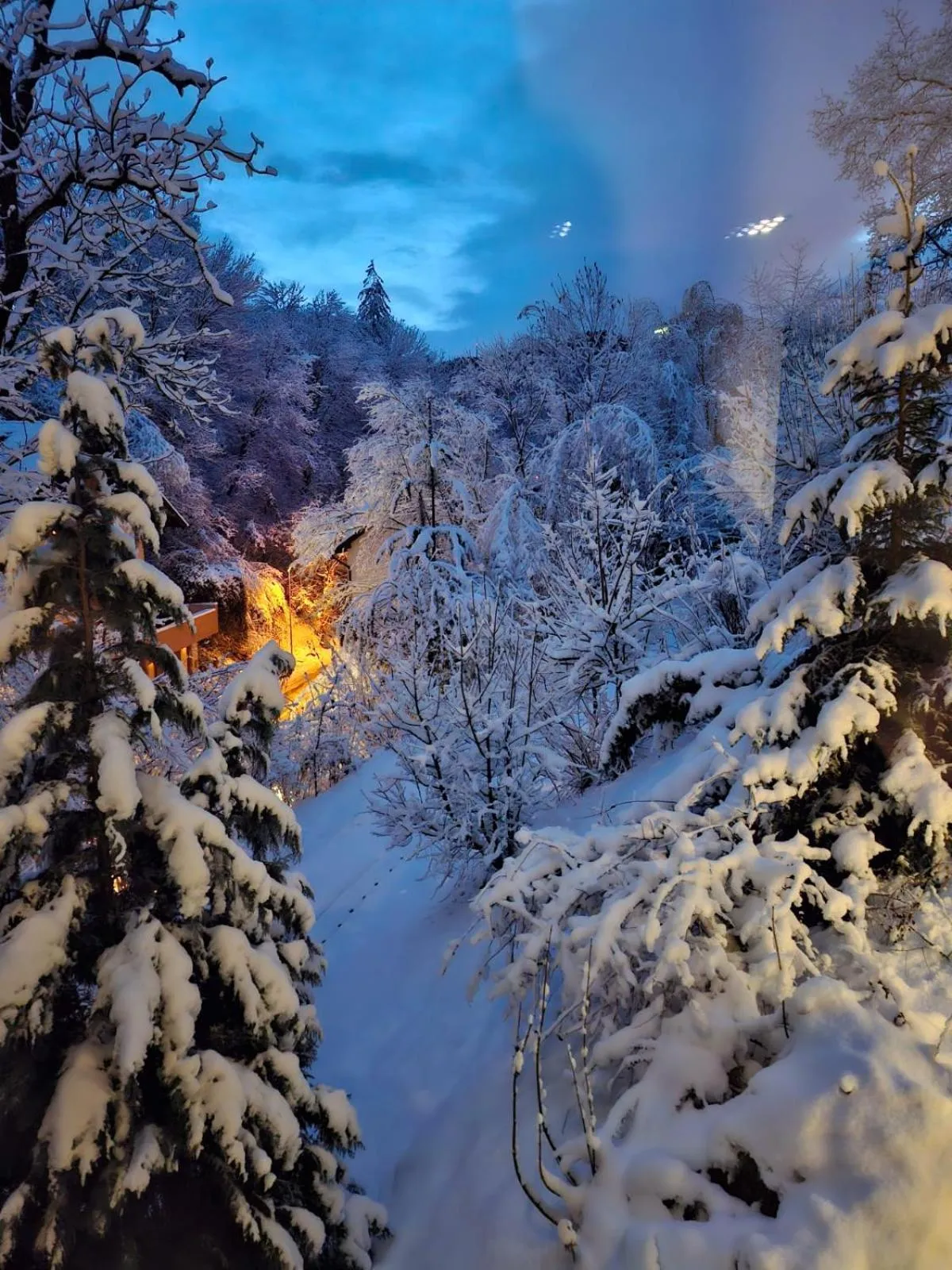 Property building in GreenHill Brasov