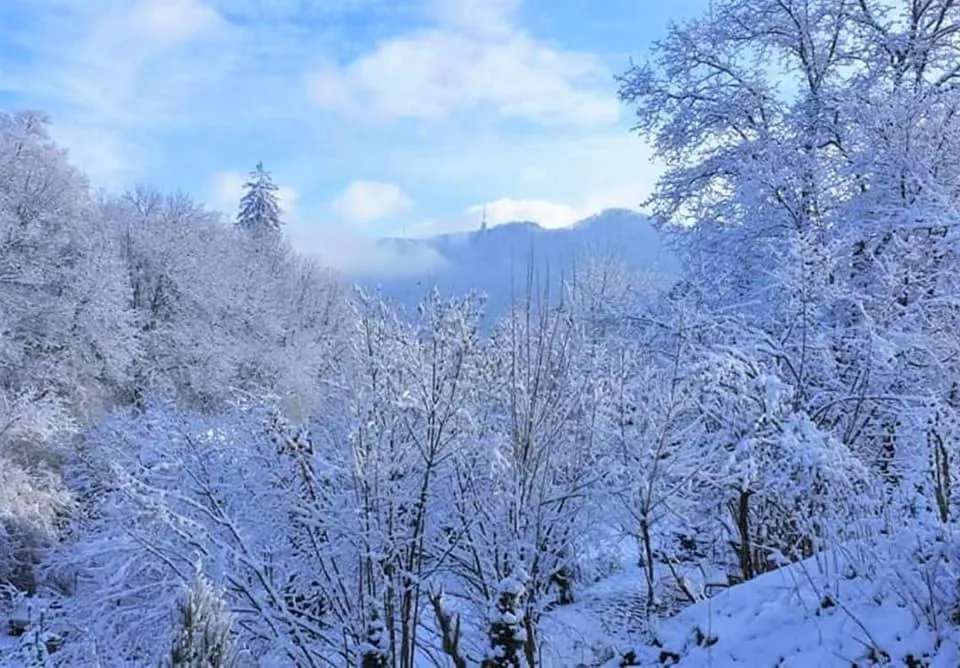 Winter in GreenHill Brasov