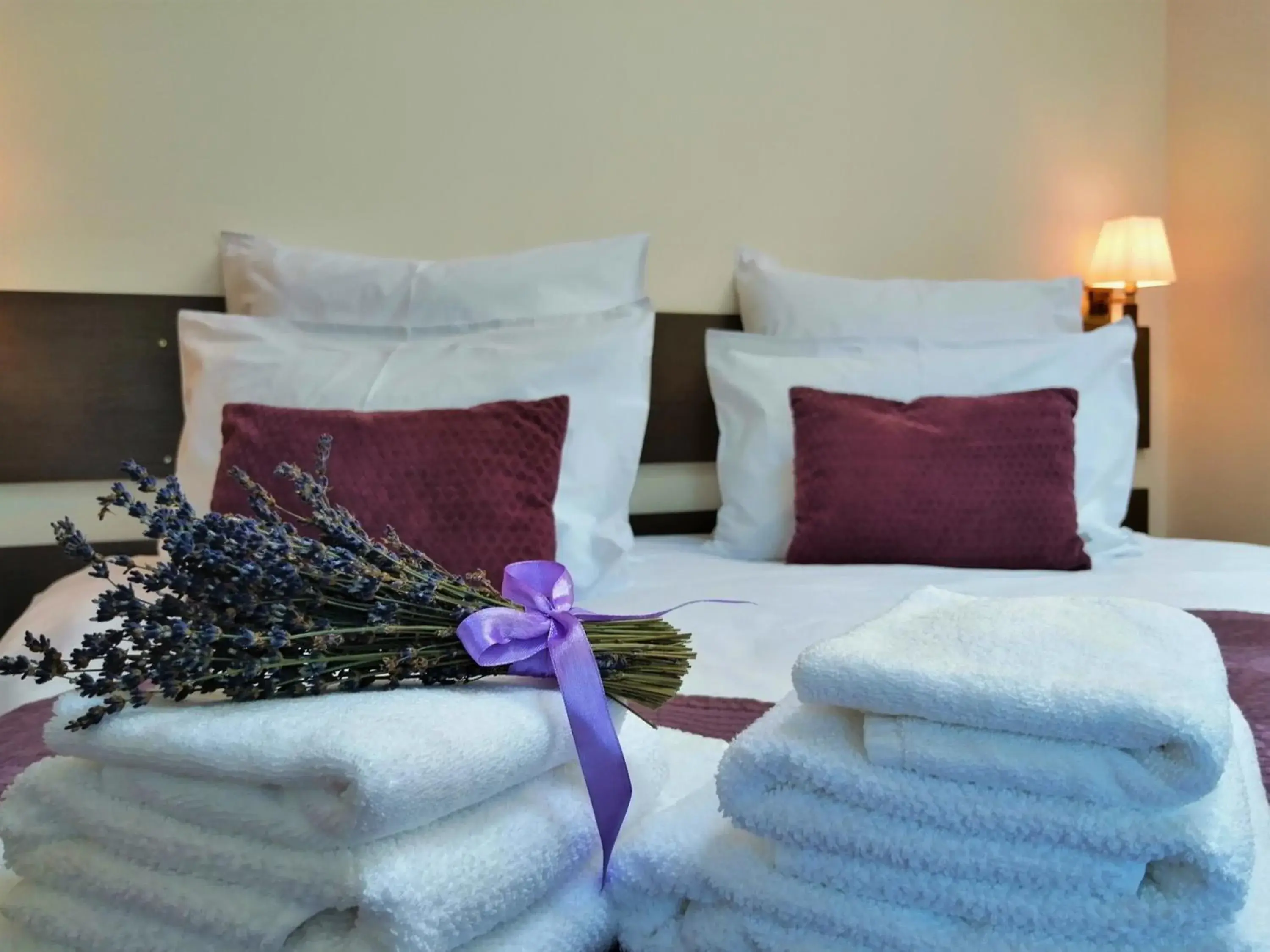 Superior Double Room with View & Balcony in GreenHill Brasov Superior Double Room with View & Balcony in GreenHill Brasov