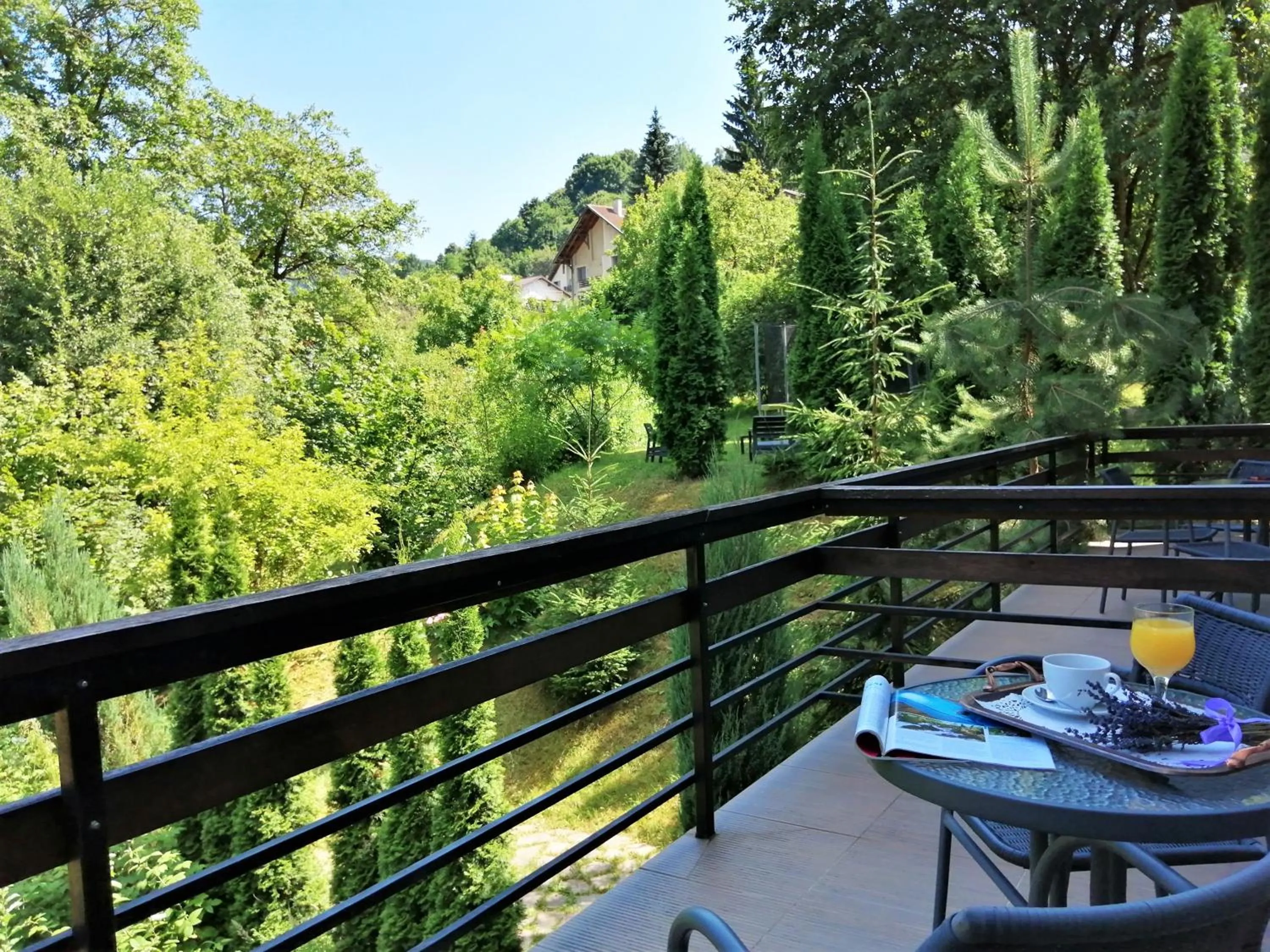 Balcony/Terrace in GreenHill Brasov