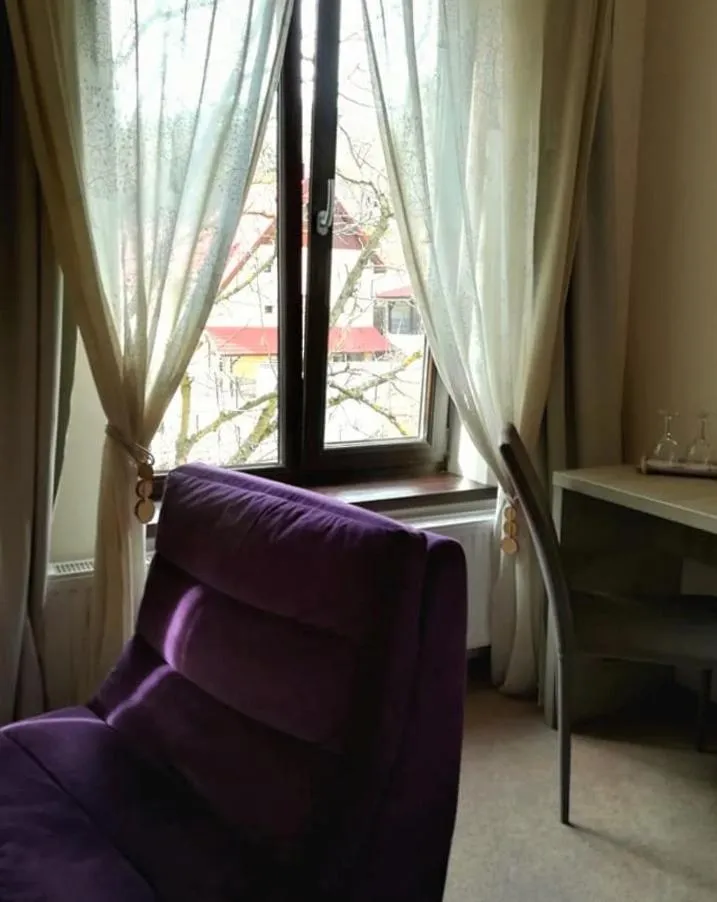 Decorative detail in GreenHill Brasov