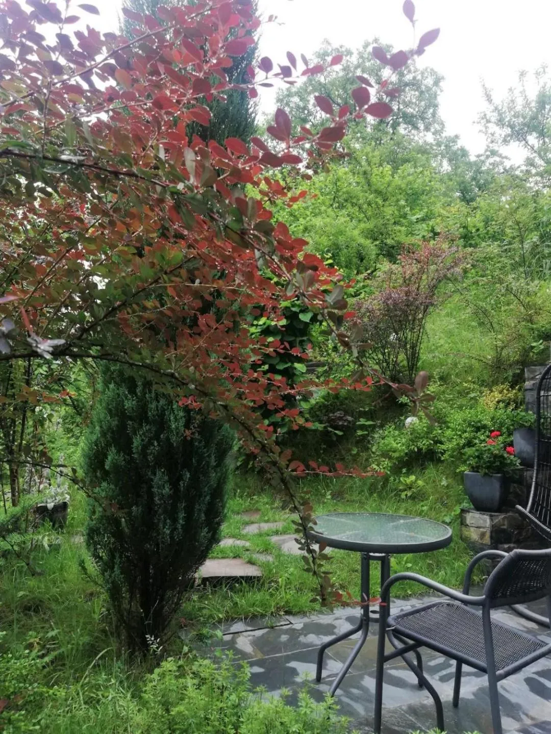 Garden in GreenHill Brasov