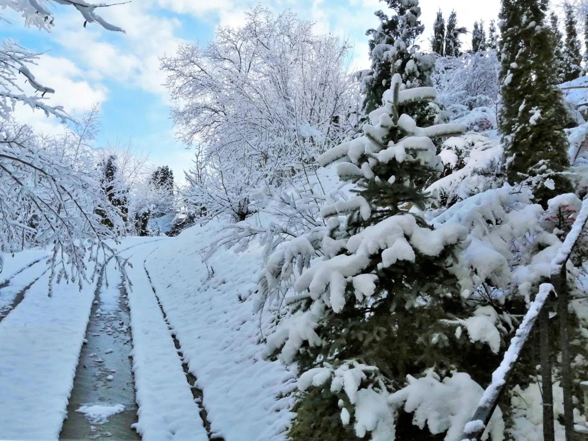 Winter in GreenHill Brasov