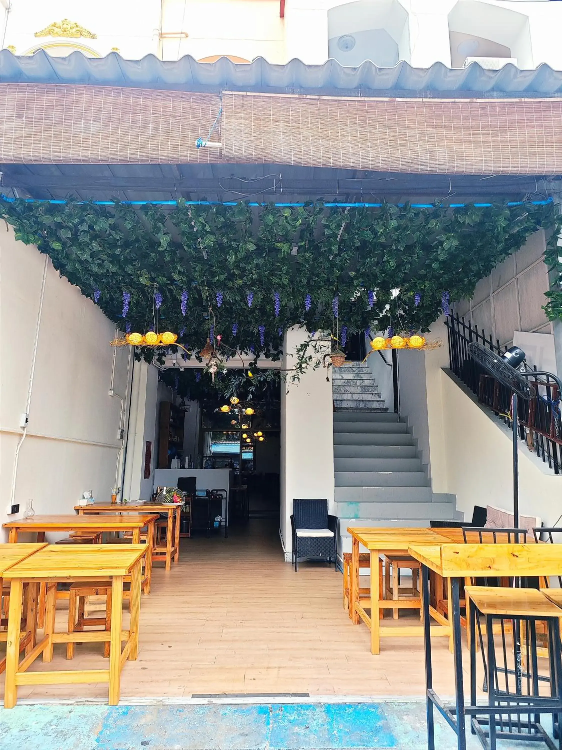 Panda Lodge Home Stay Panda Lodge Home Stay