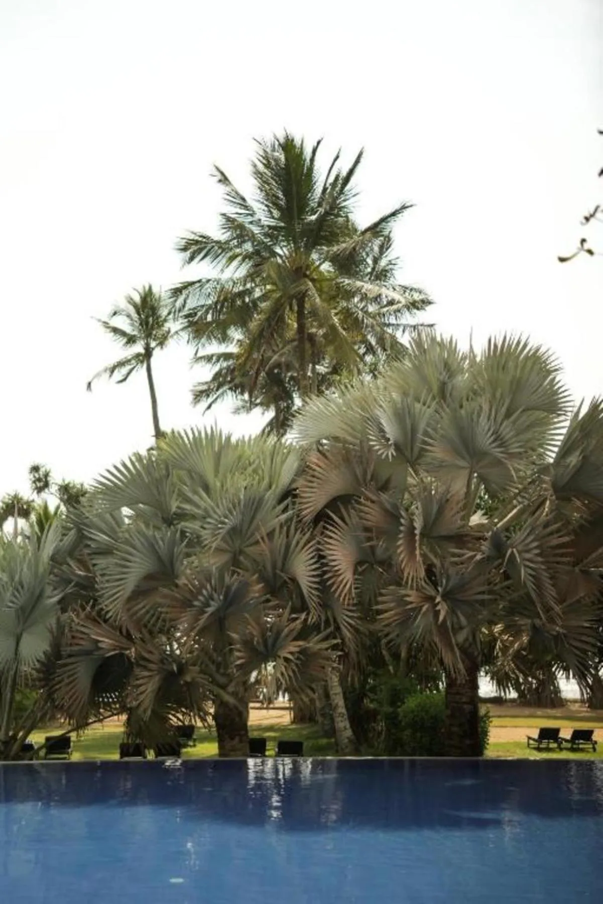 Hibiscus Beach Hotel & Villas