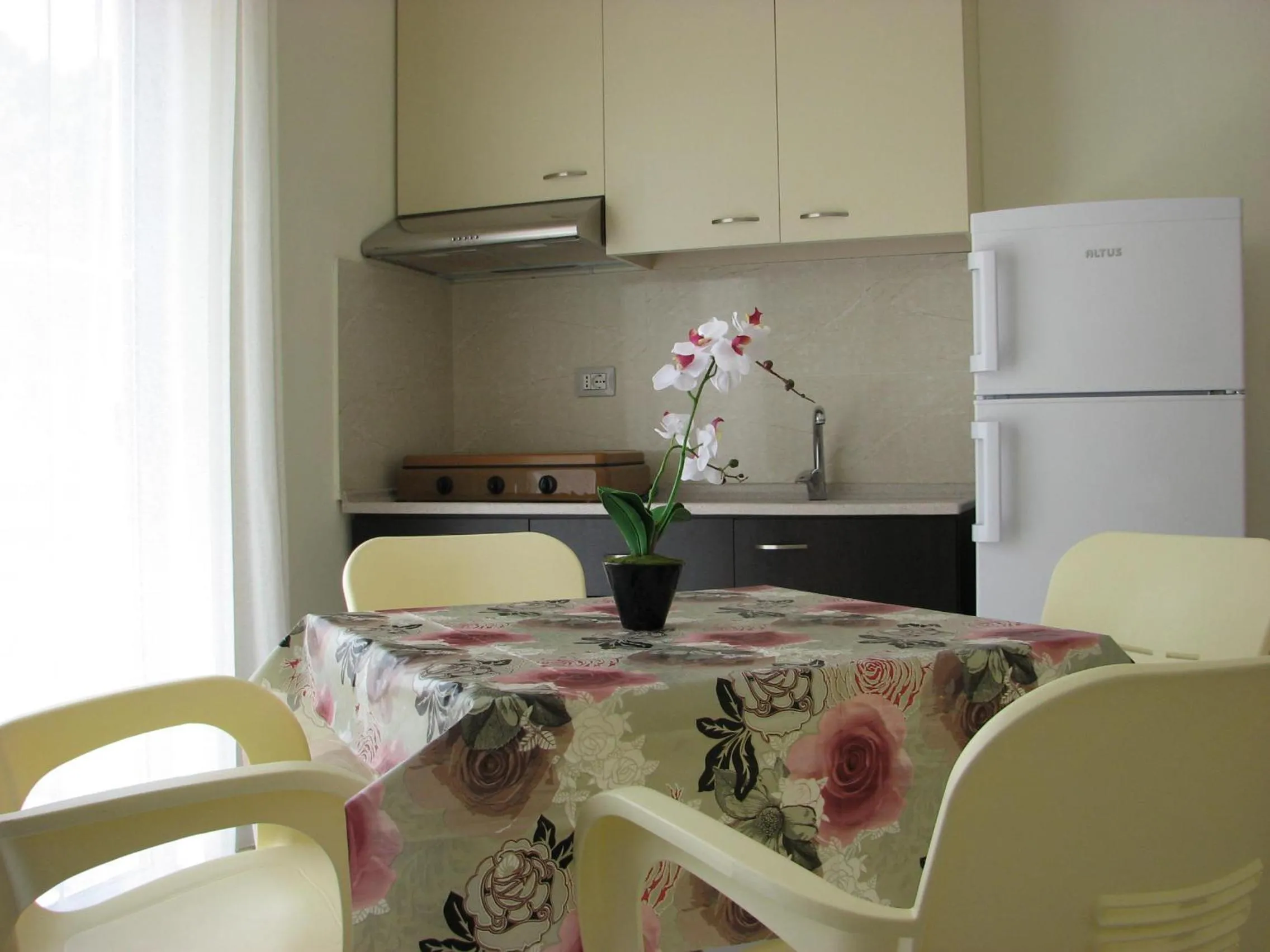 Kitchen or kitchenette in Aparthotel Vila Tufi