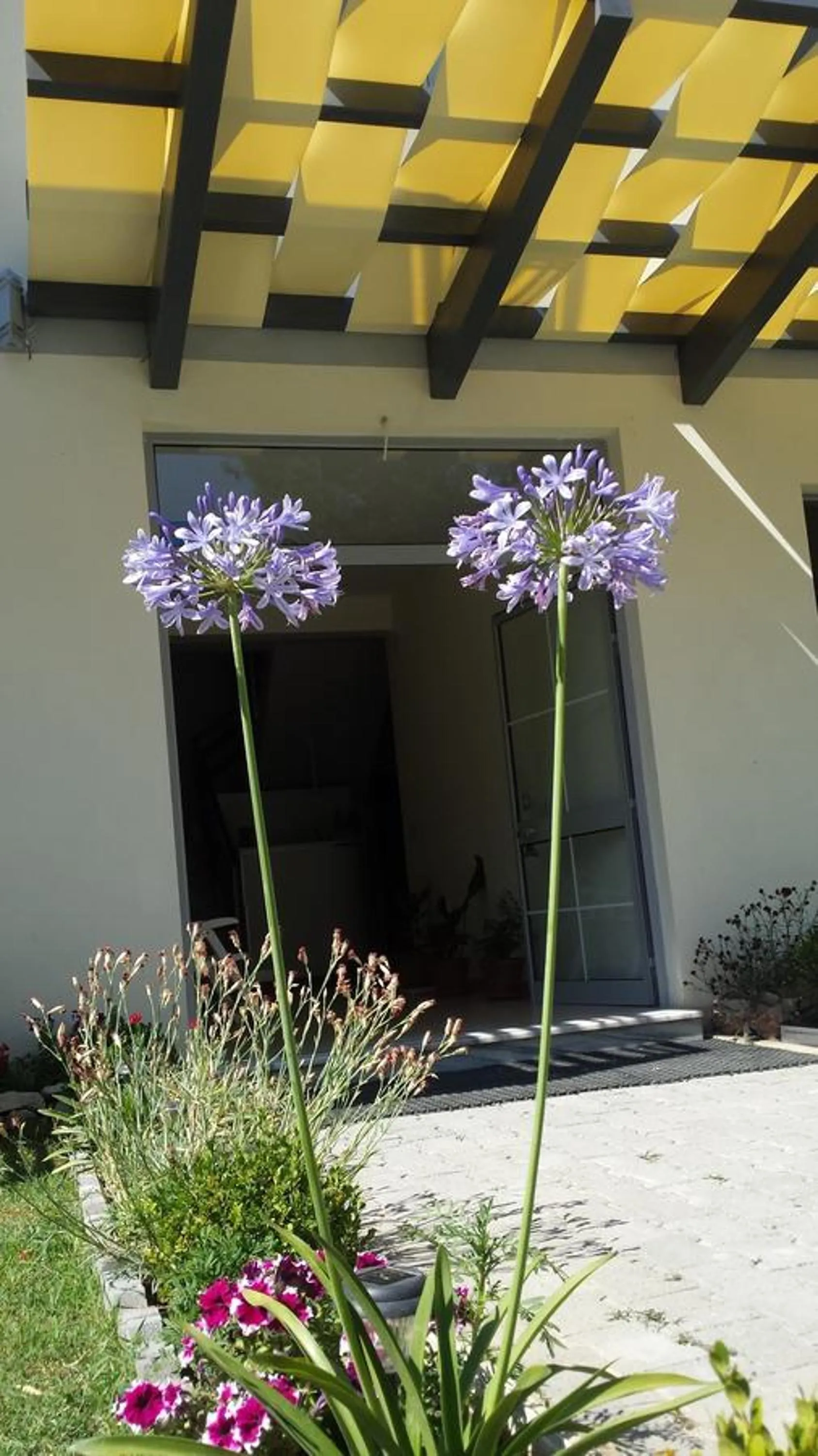 Garden in Aparthotel Vila Tufi