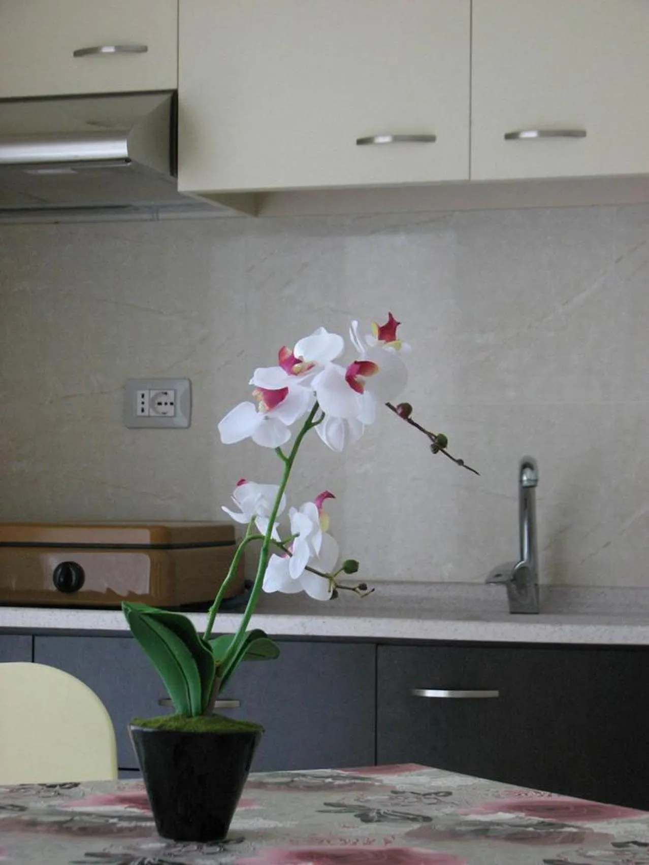 Kitchen or kitchenette in Aparthotel Vila Tufi