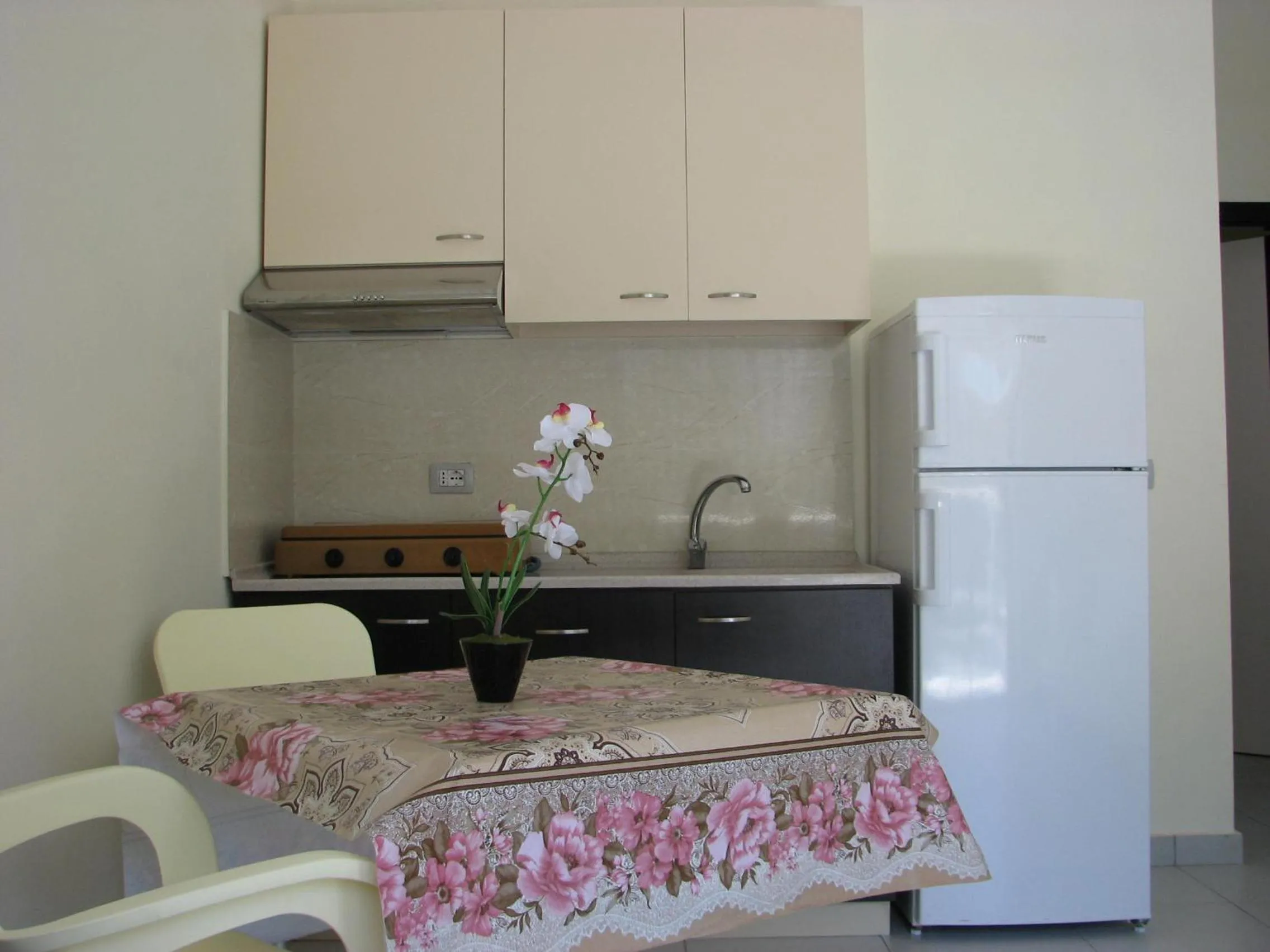Kitchen or kitchenette in Aparthotel Vila Tufi