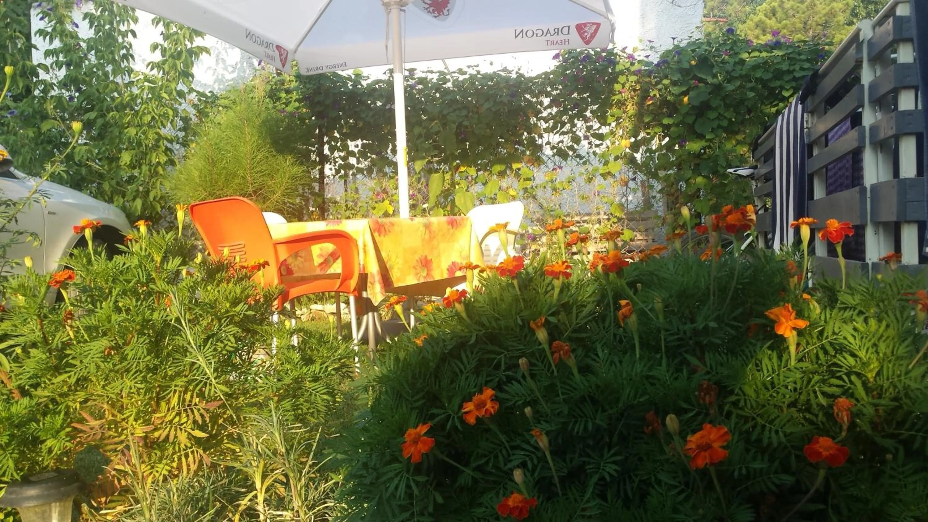 Patio in Aparthotel Vila Tufi