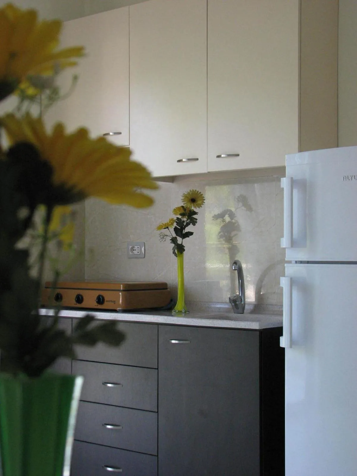 Kitchen or kitchenette in Aparthotel Vila Tufi