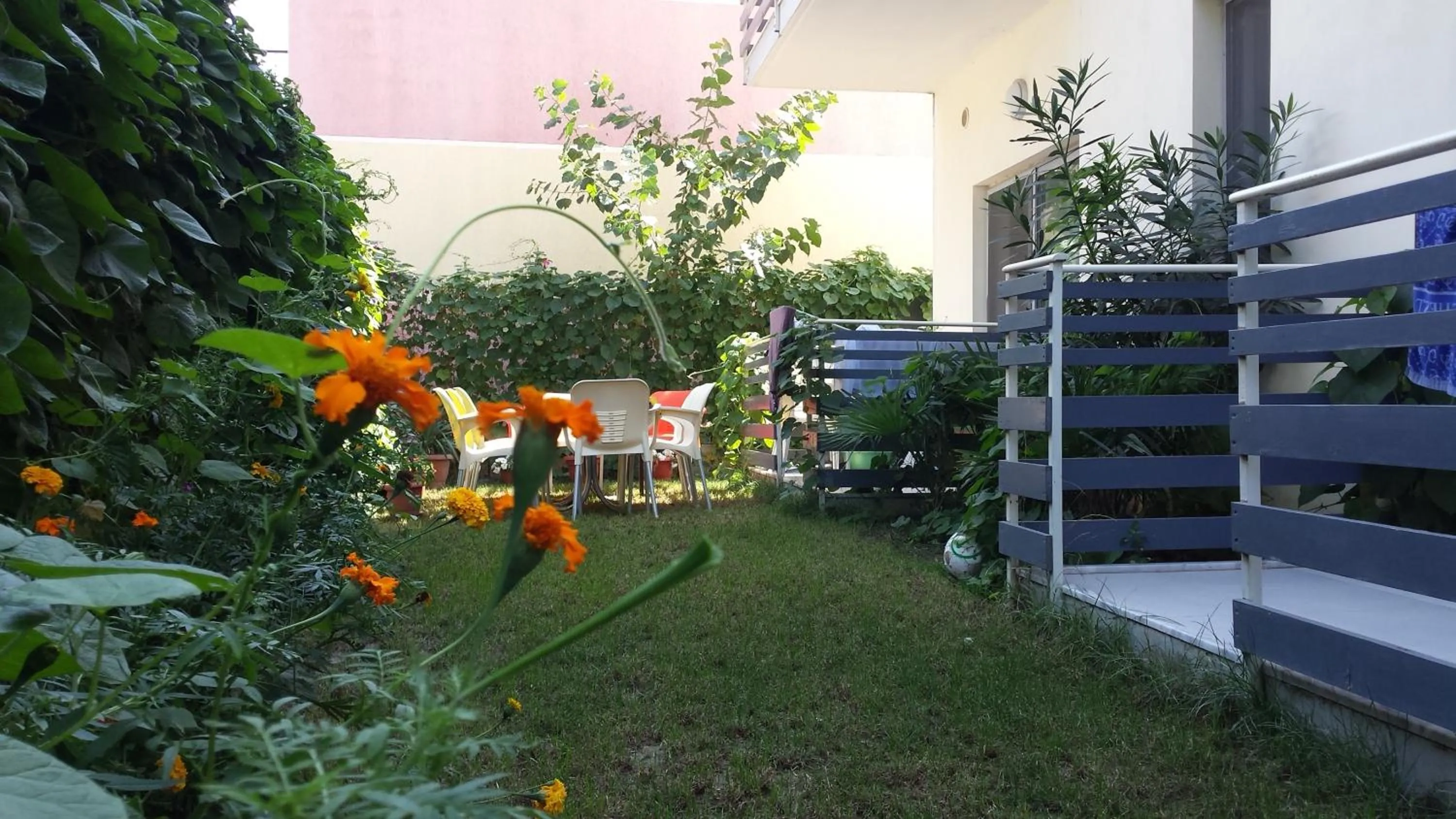 Garden in Aparthotel Vila Tufi