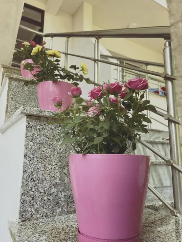 Aparthotel Vila Tufi