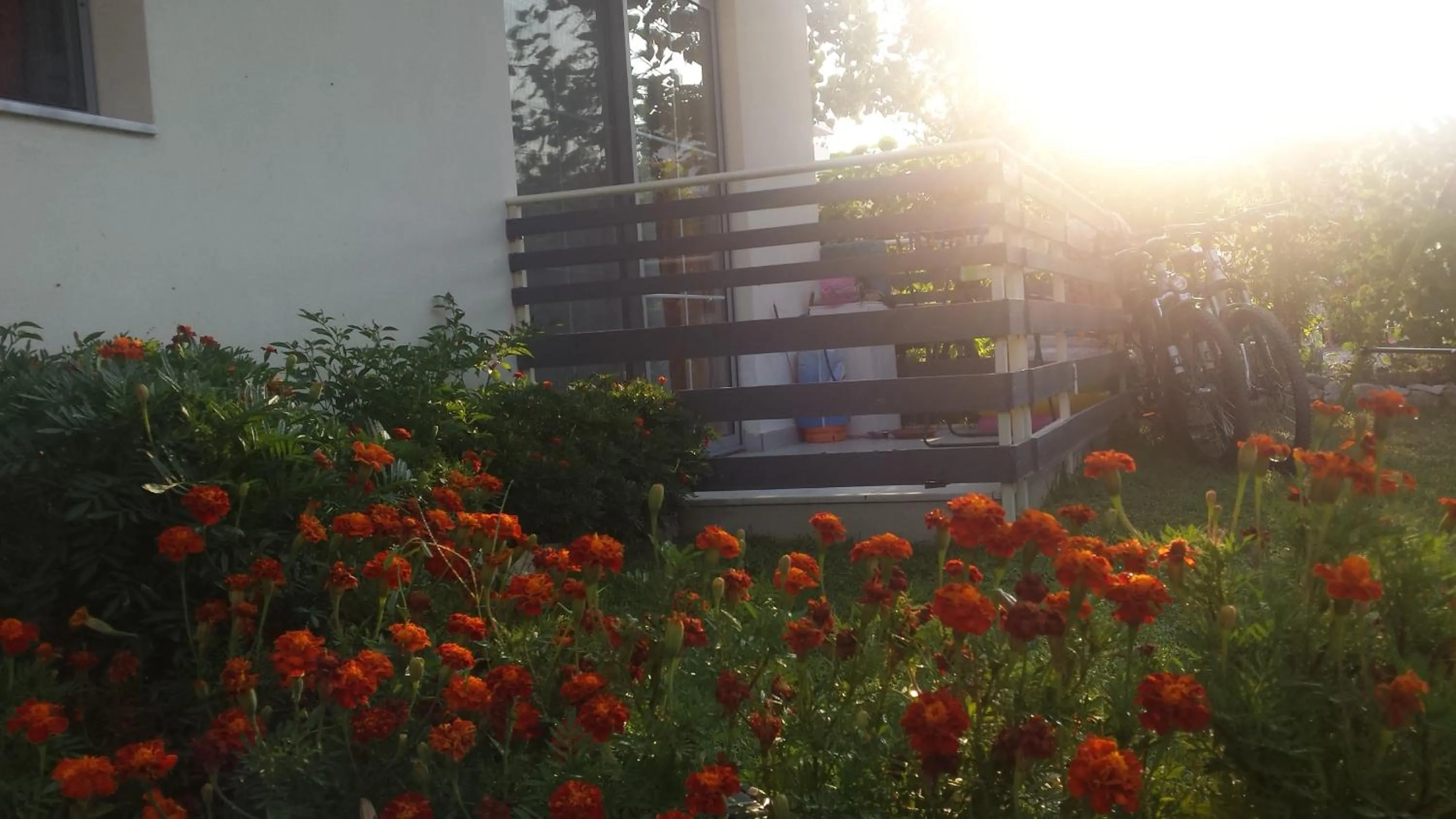 View (from property/room) in Aparthotel Vila Tufi