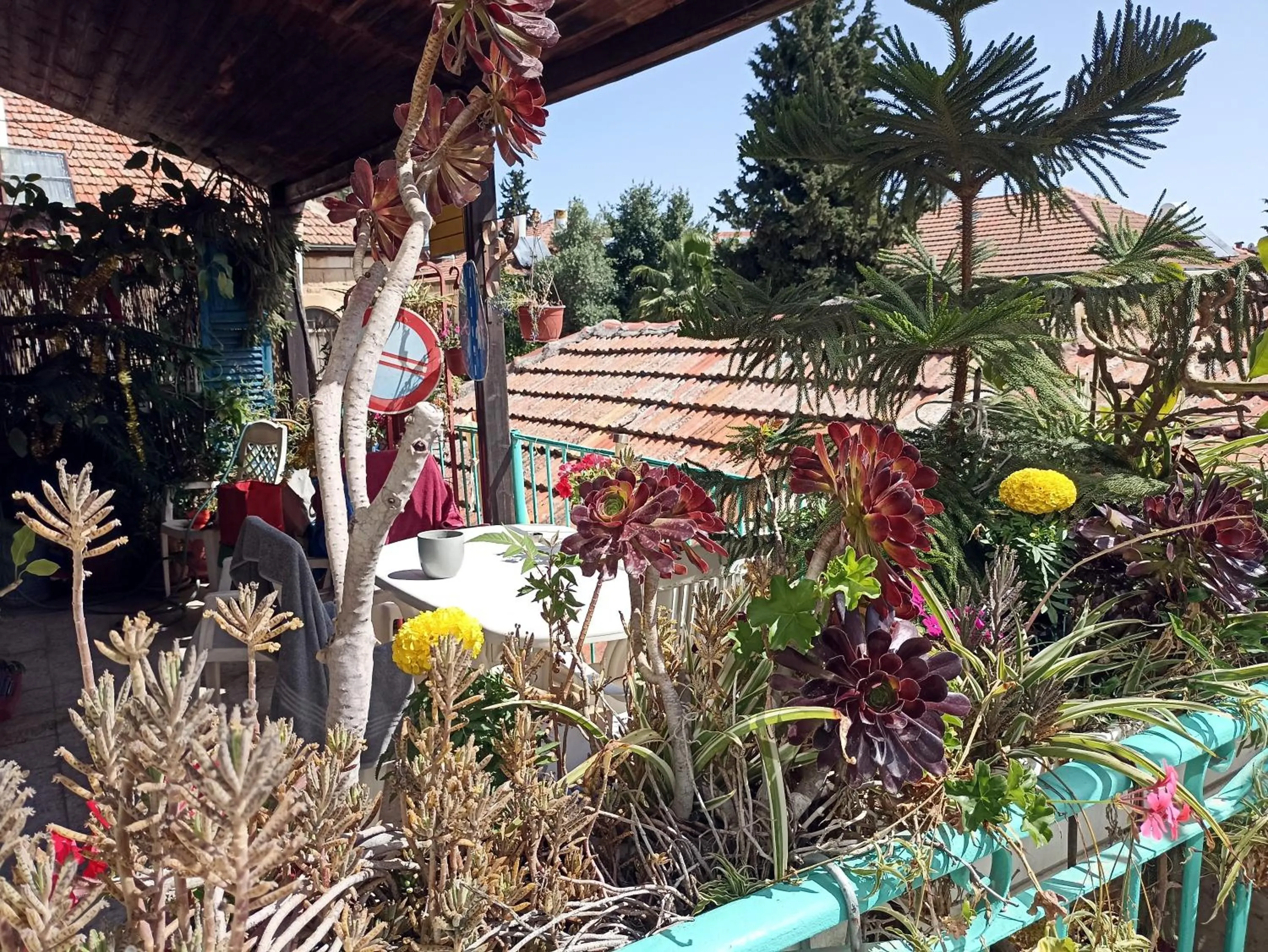 Garden in Diana's B&B