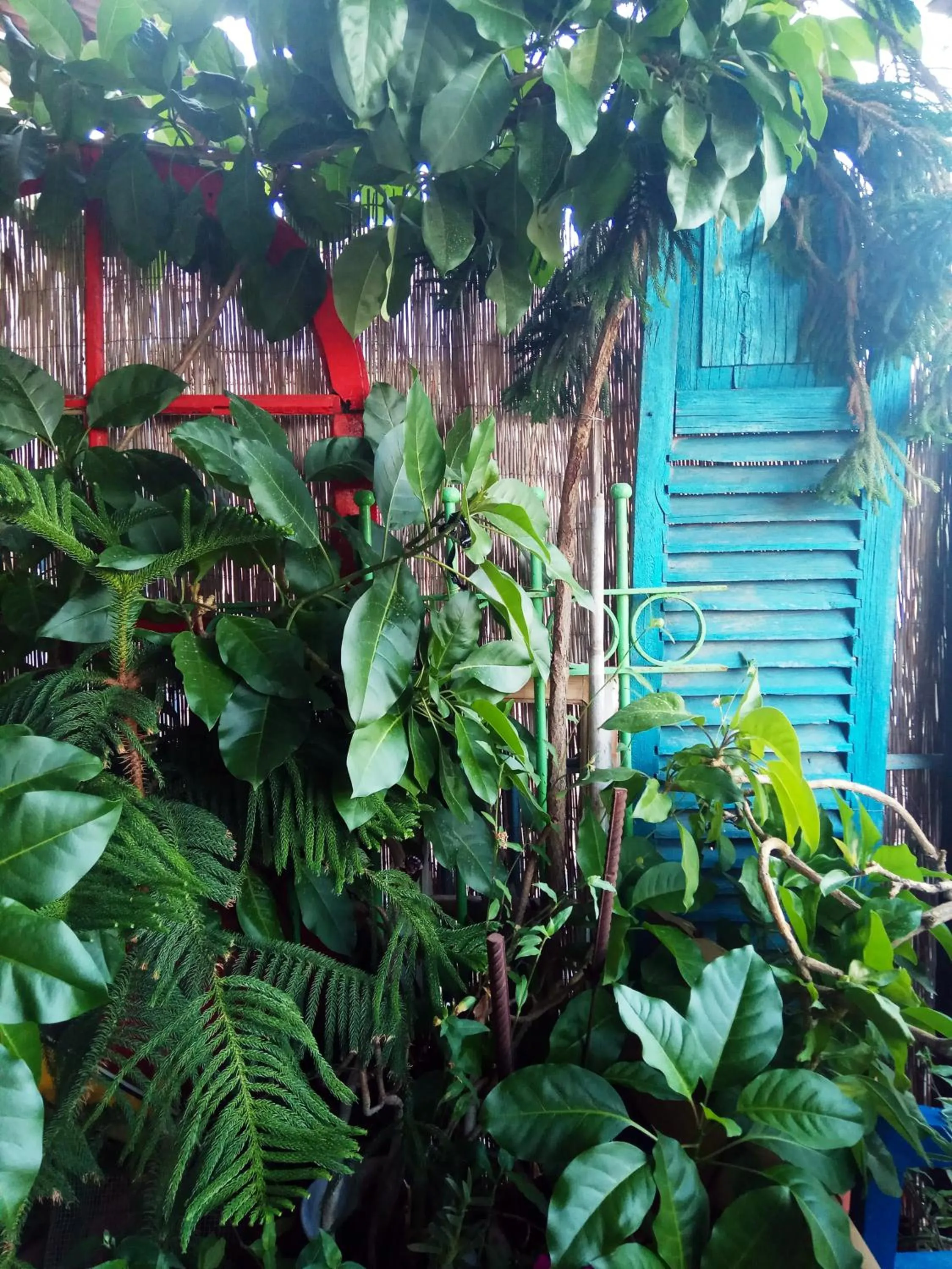 Balcony/Terrace in Diana's B&B