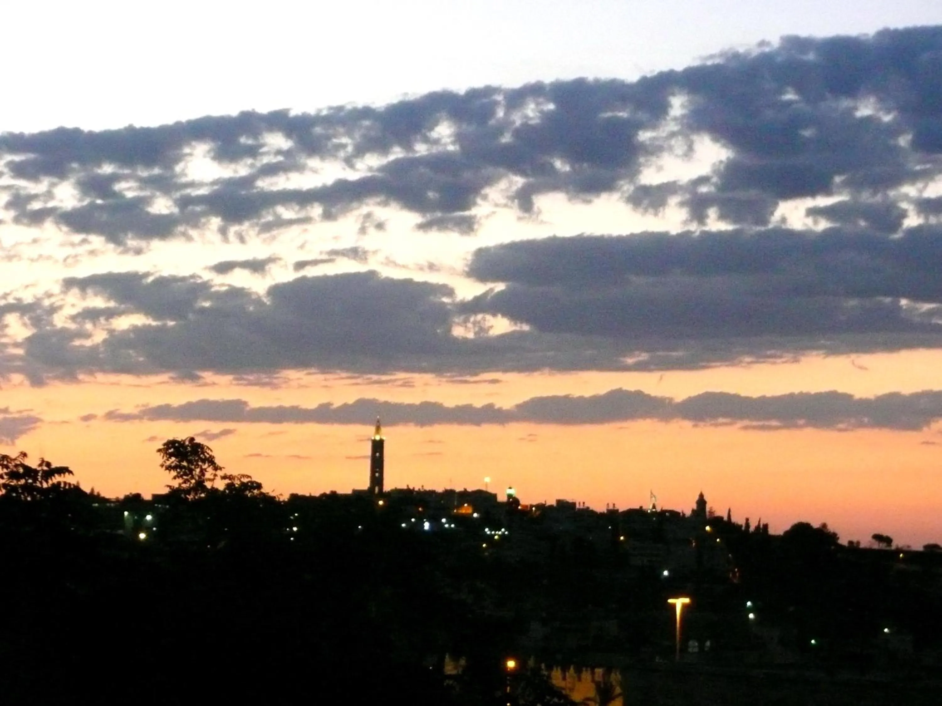 Natural landscape in Diana's B&B