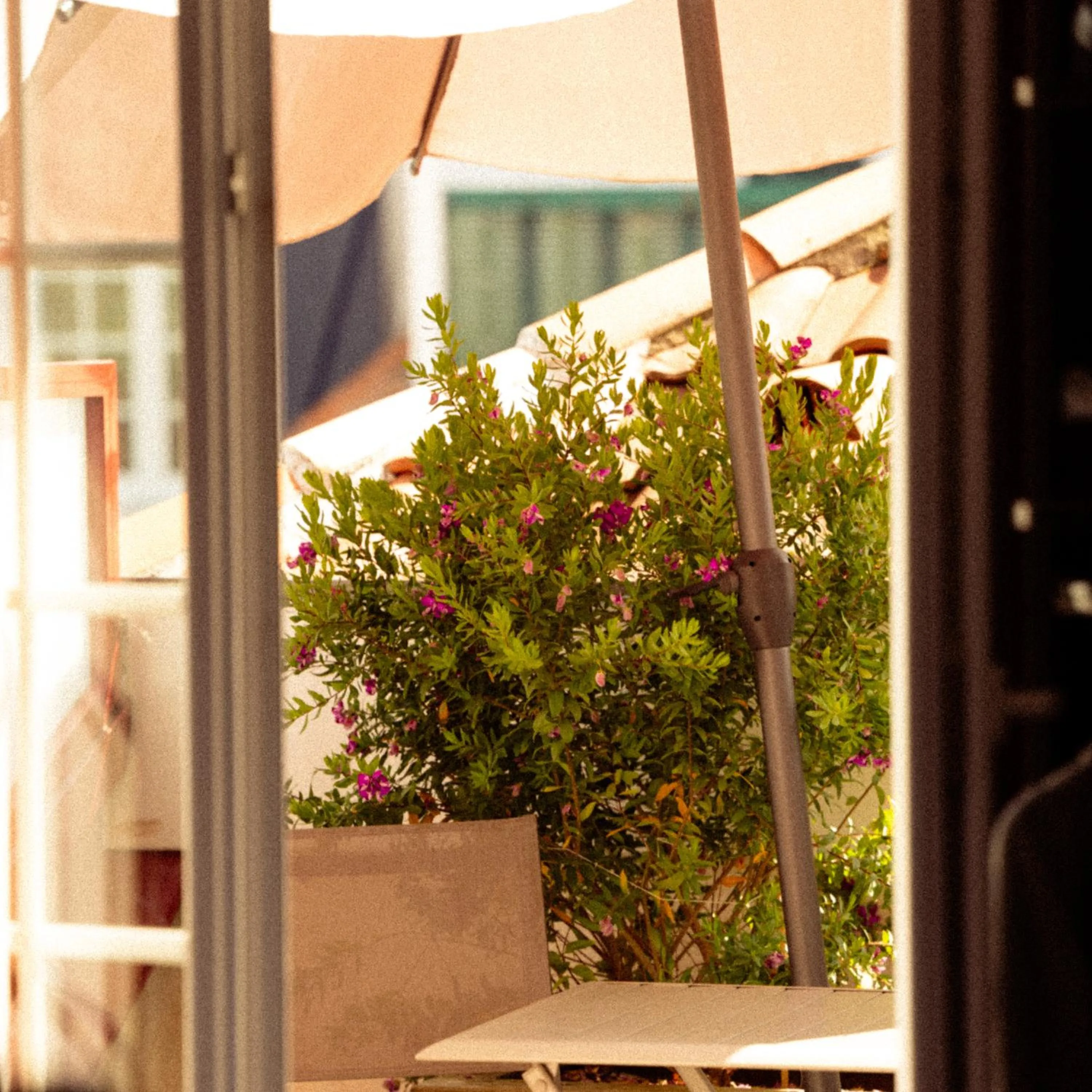 Balcony/Terrace in Boutique Hôtel Txoko