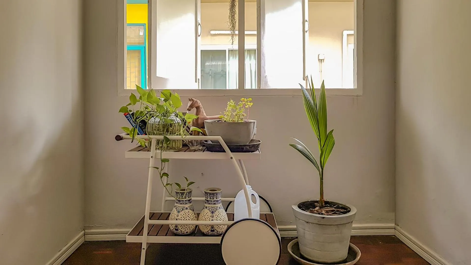 Area and facilities in Cooper