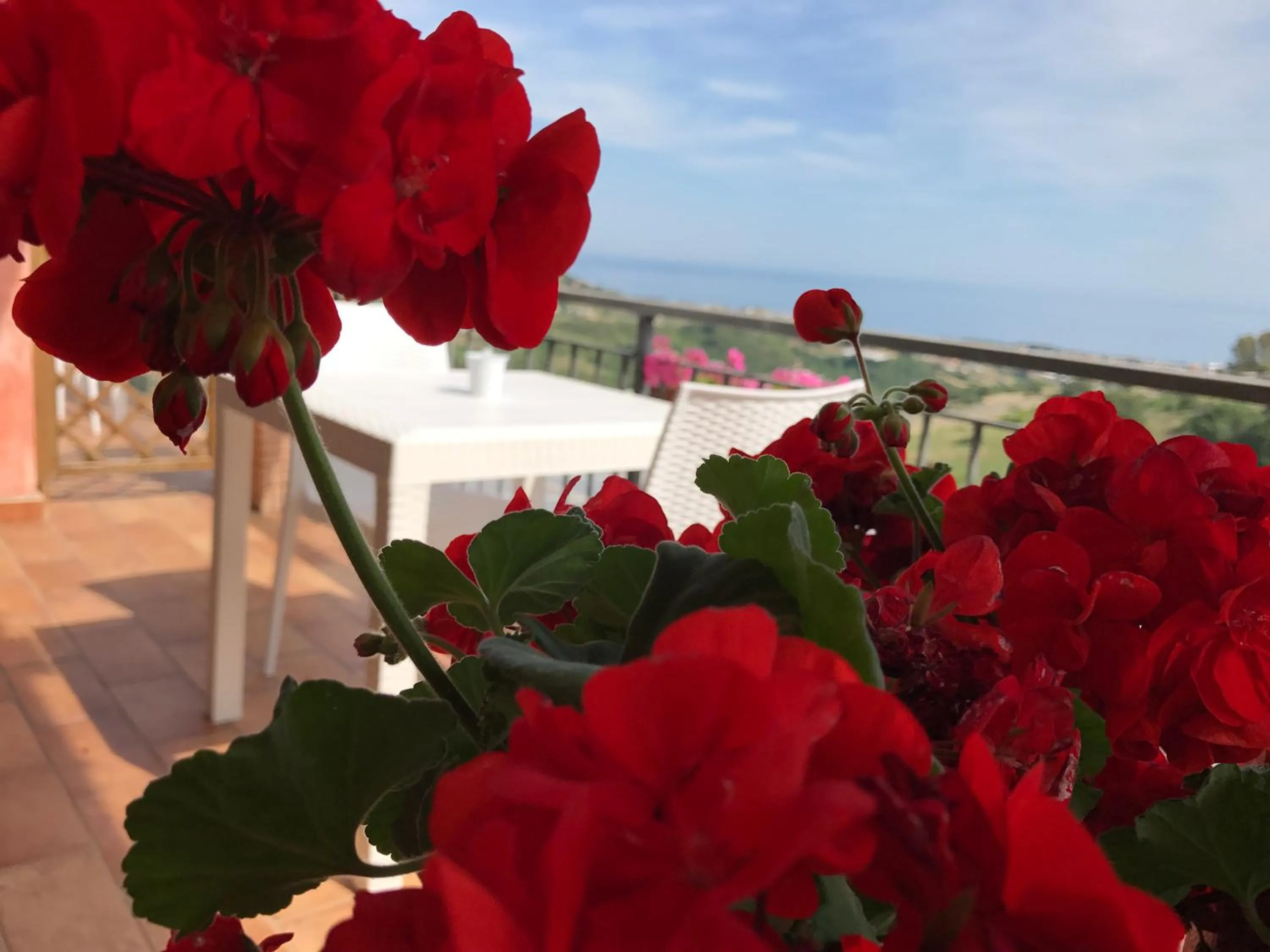 Quadruple Room with Sea View in I Cardinali