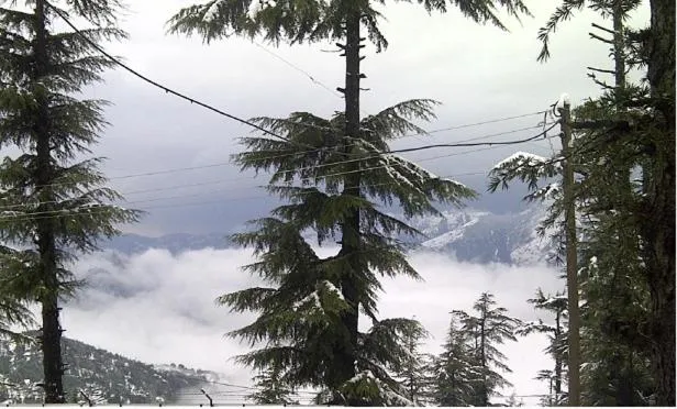 Mountain view in The Woodstock Resort