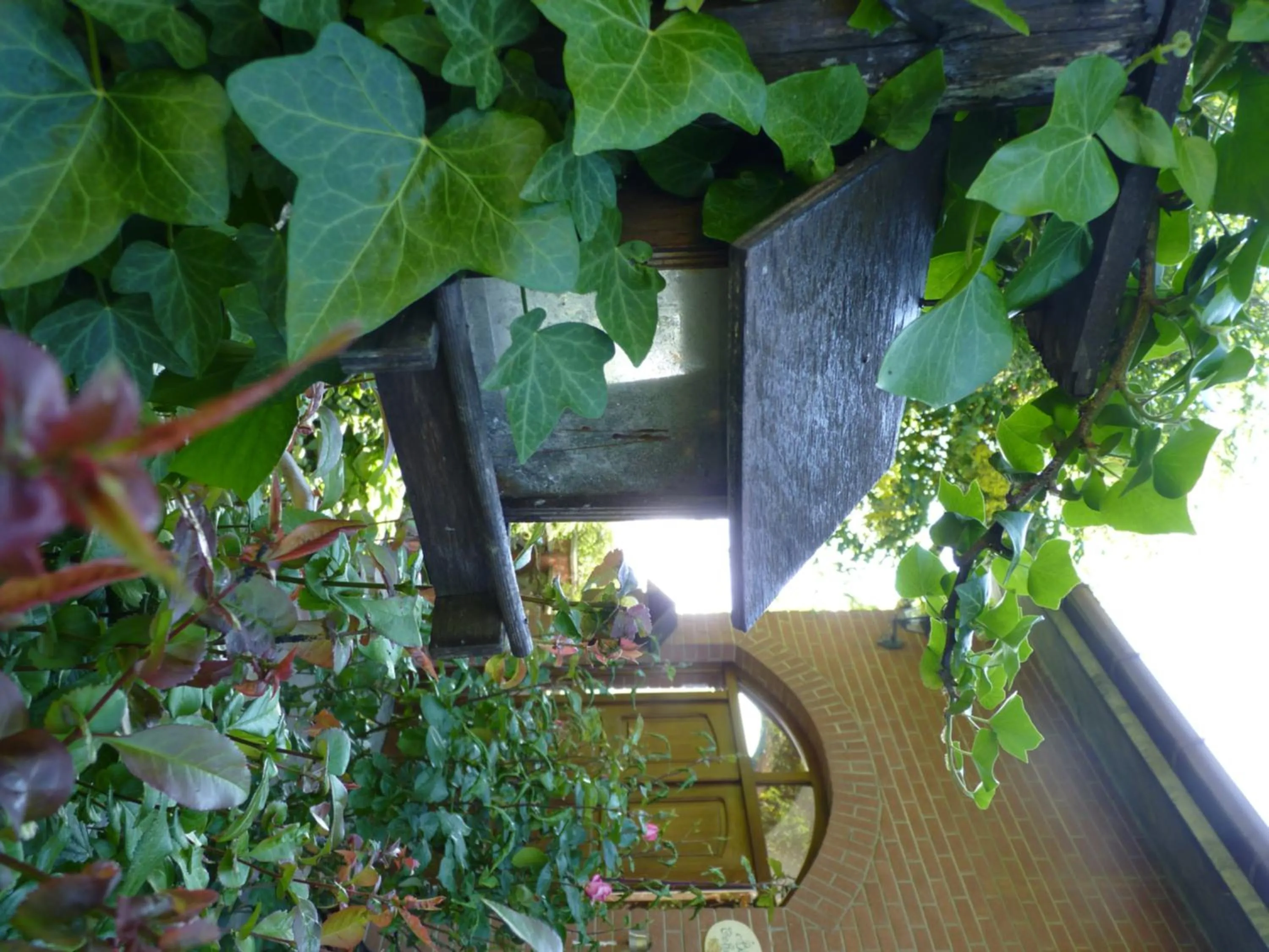 Garden view in B&B The Roses Garden