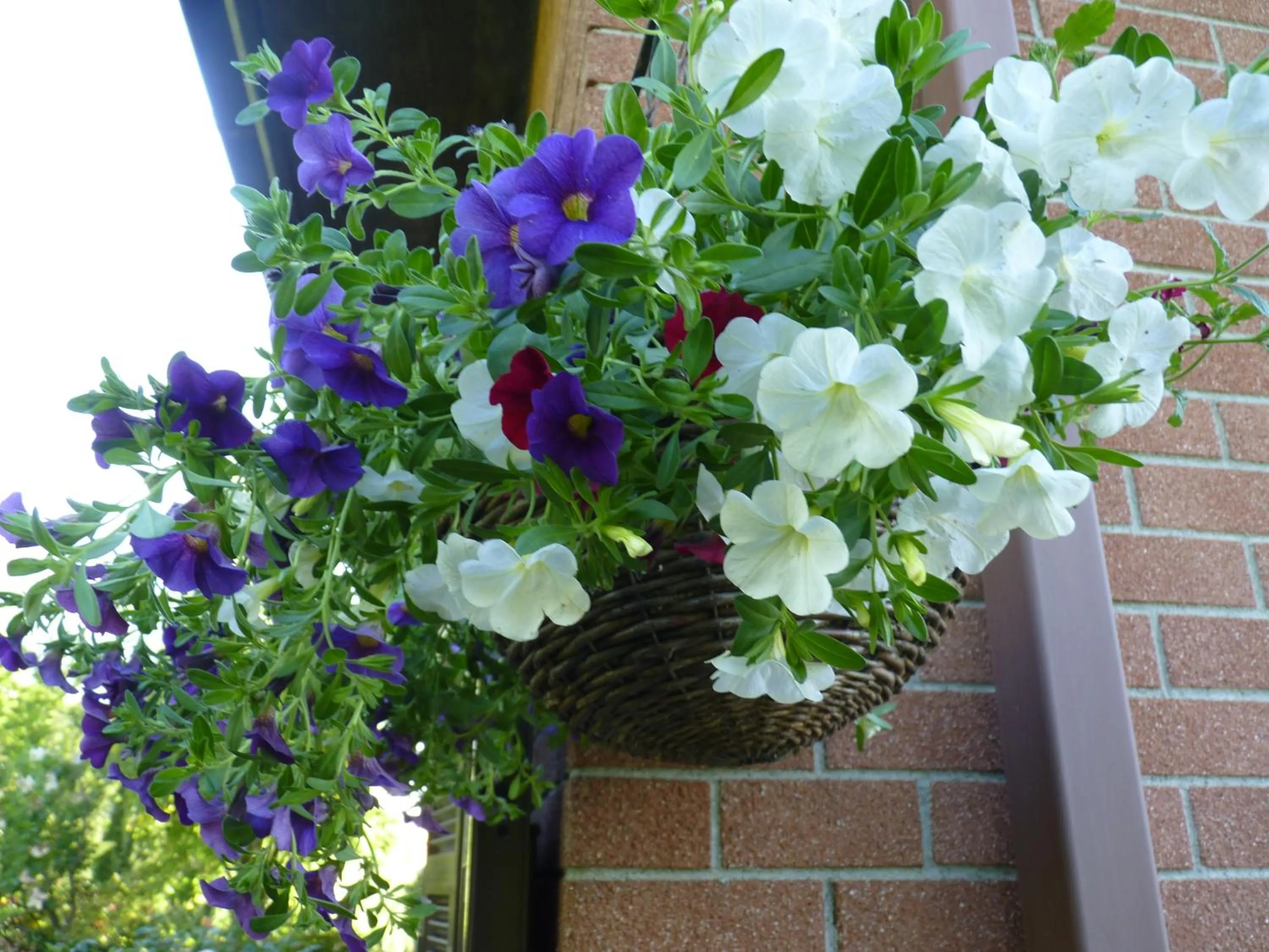 Decorative detail in B&B The Roses Garden