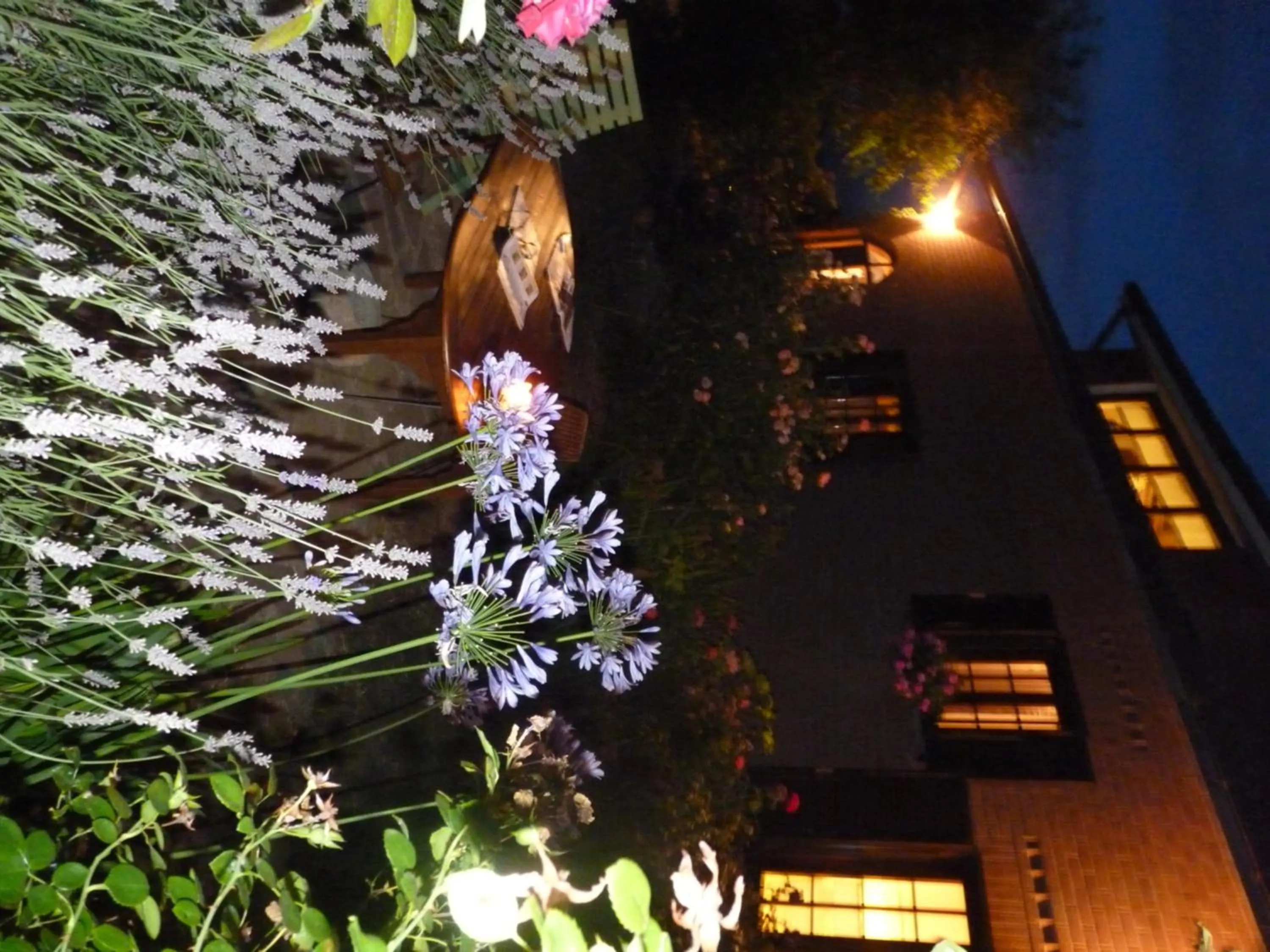 Other in B&B The Roses Garden