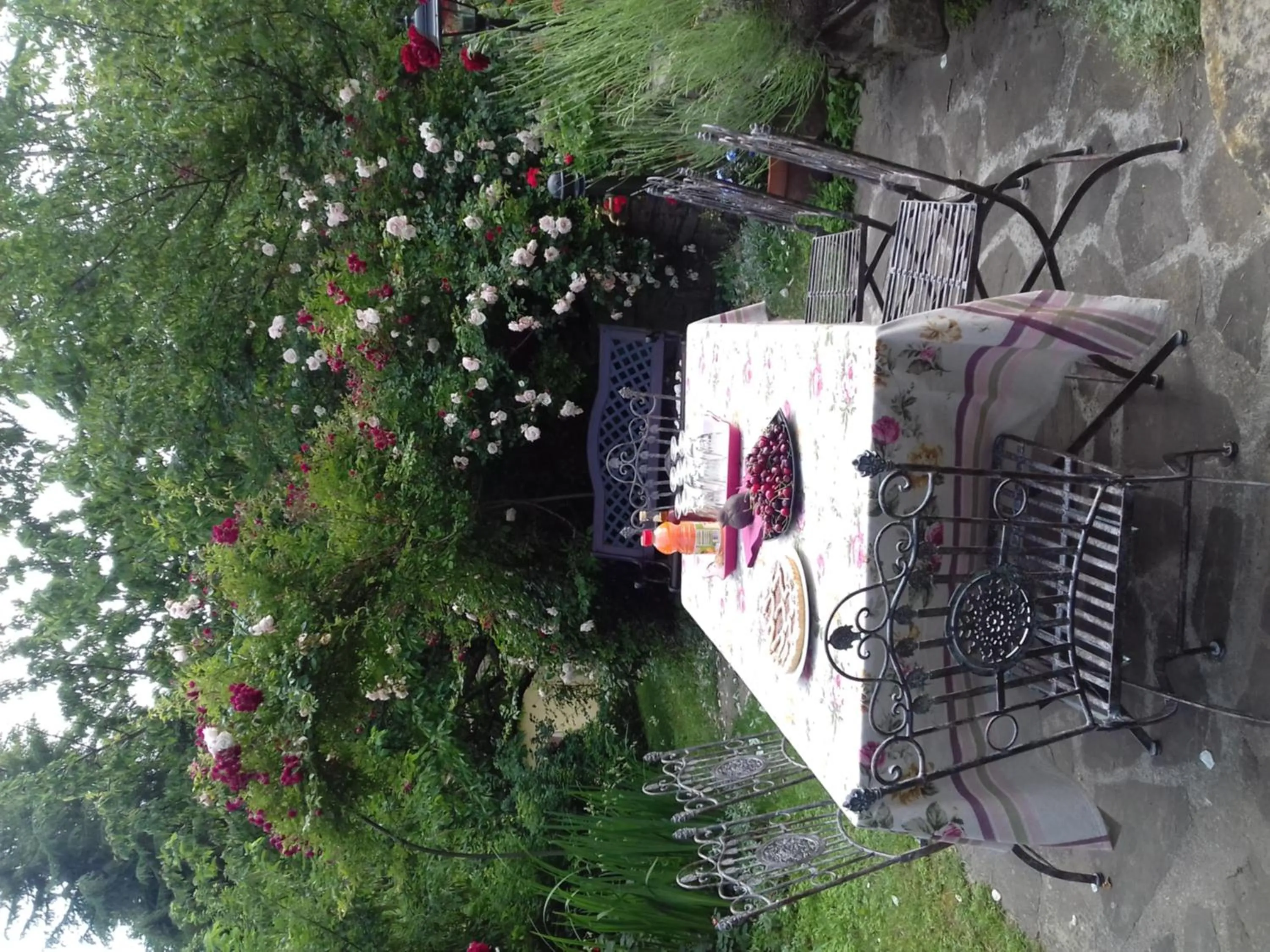 Garden view in B&B The Roses Garden