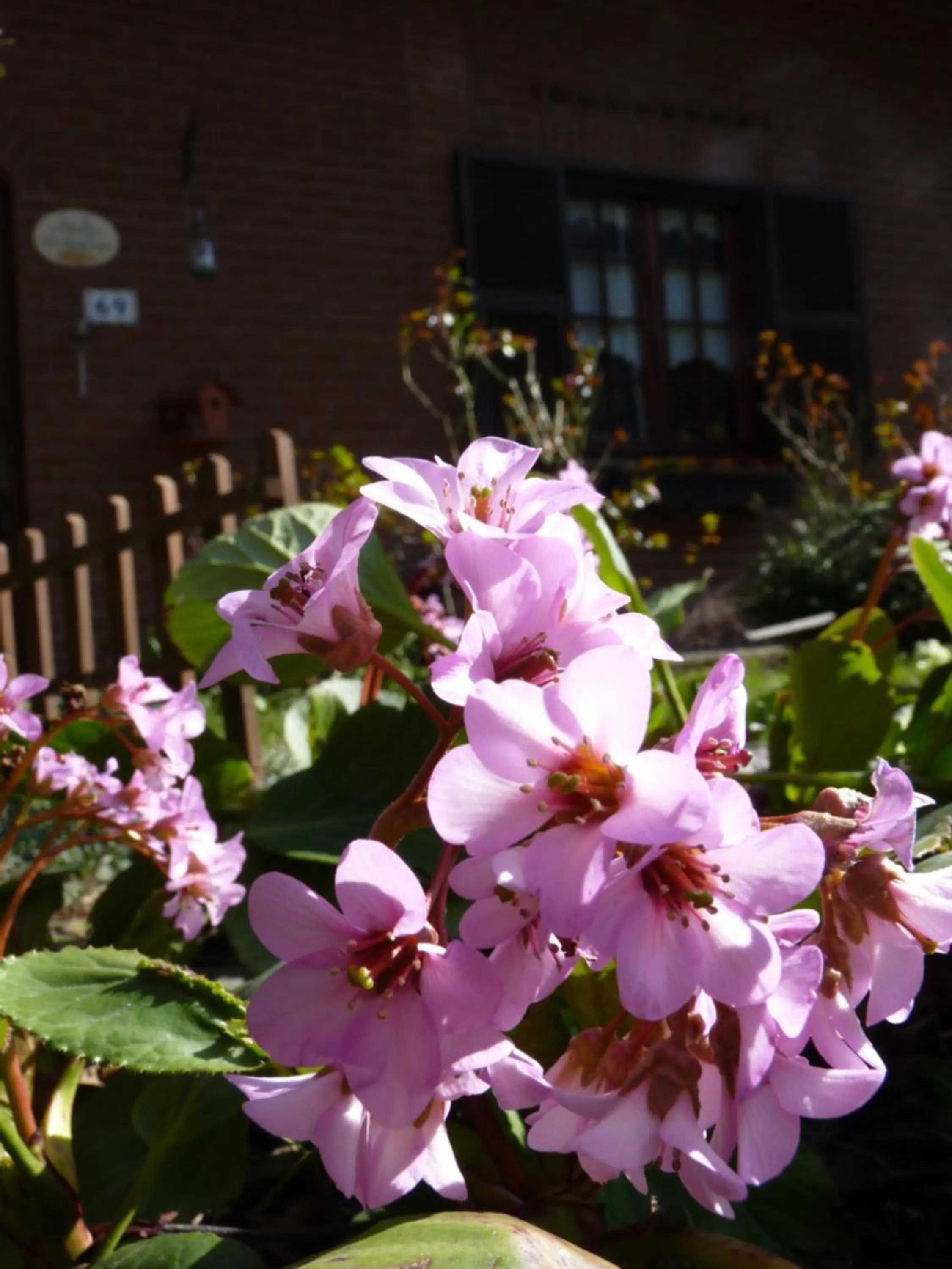 Area and facilities in B&B The Roses Garden