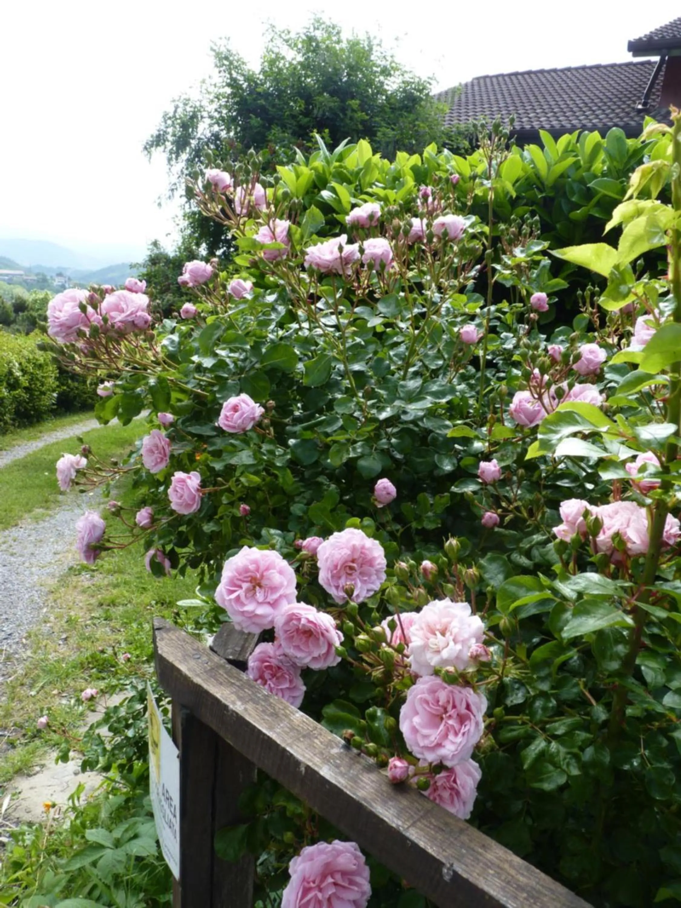 Other in B&B The Roses Garden