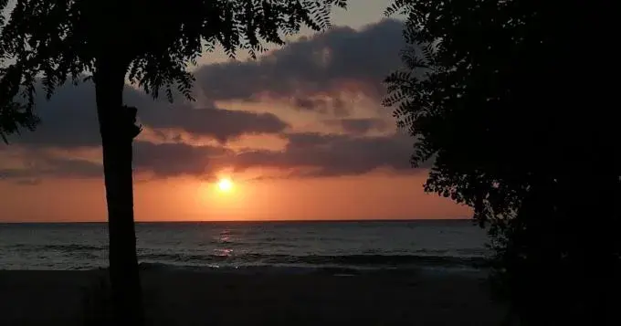 PINAR OTEL PINAR OTEL