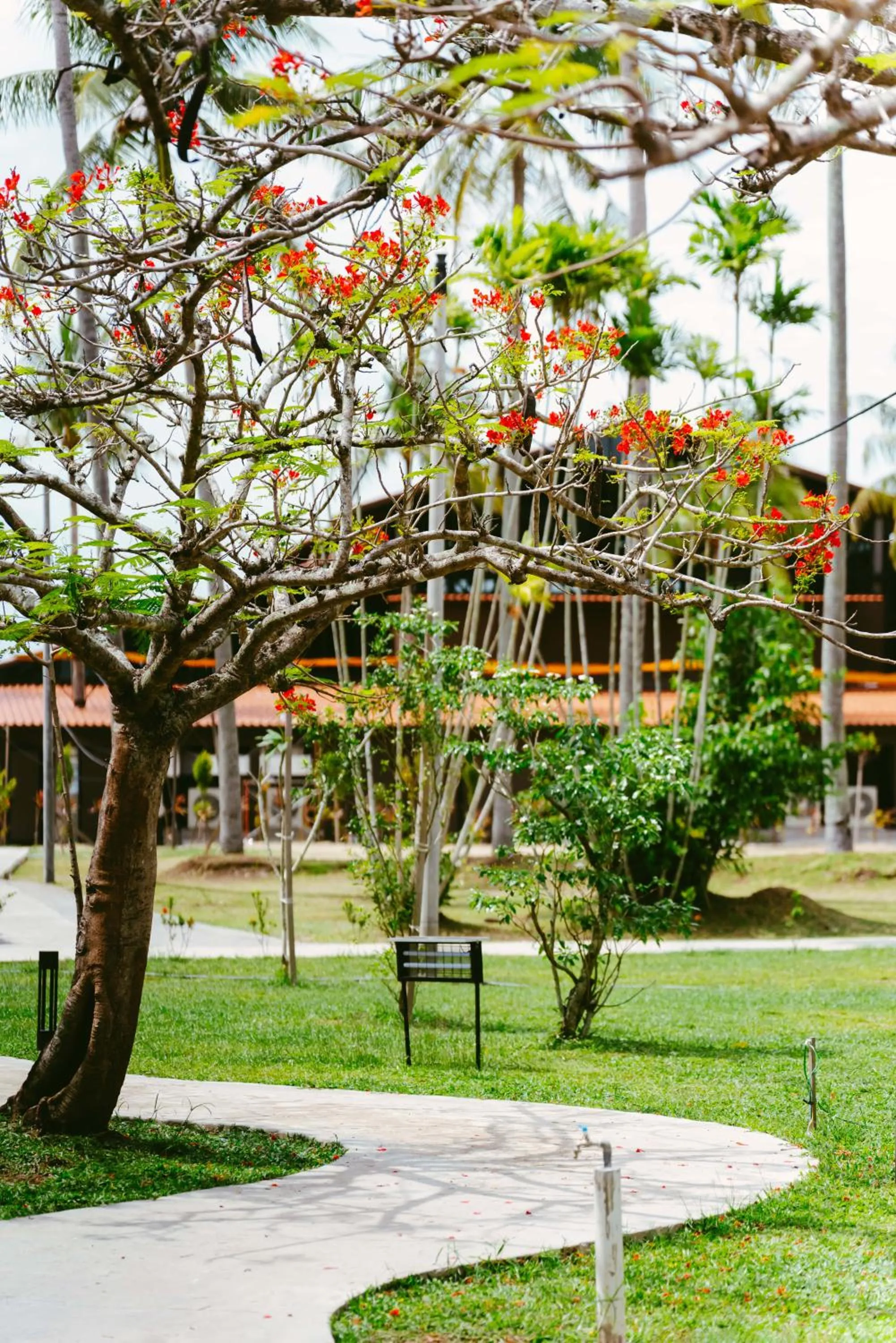 Borneo Beach & Mangrove Resort