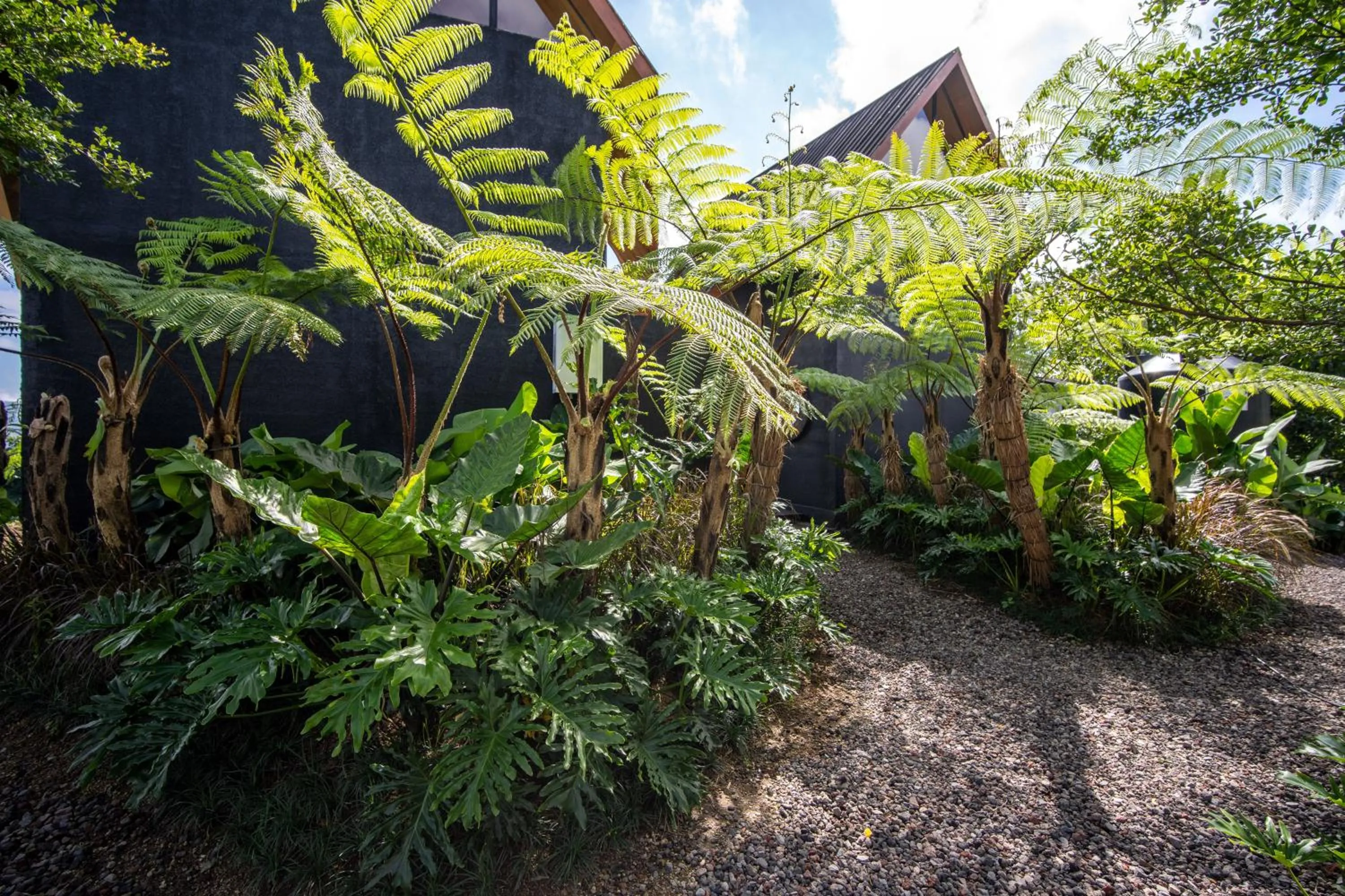 Natural landscape in Black Wood Cabin