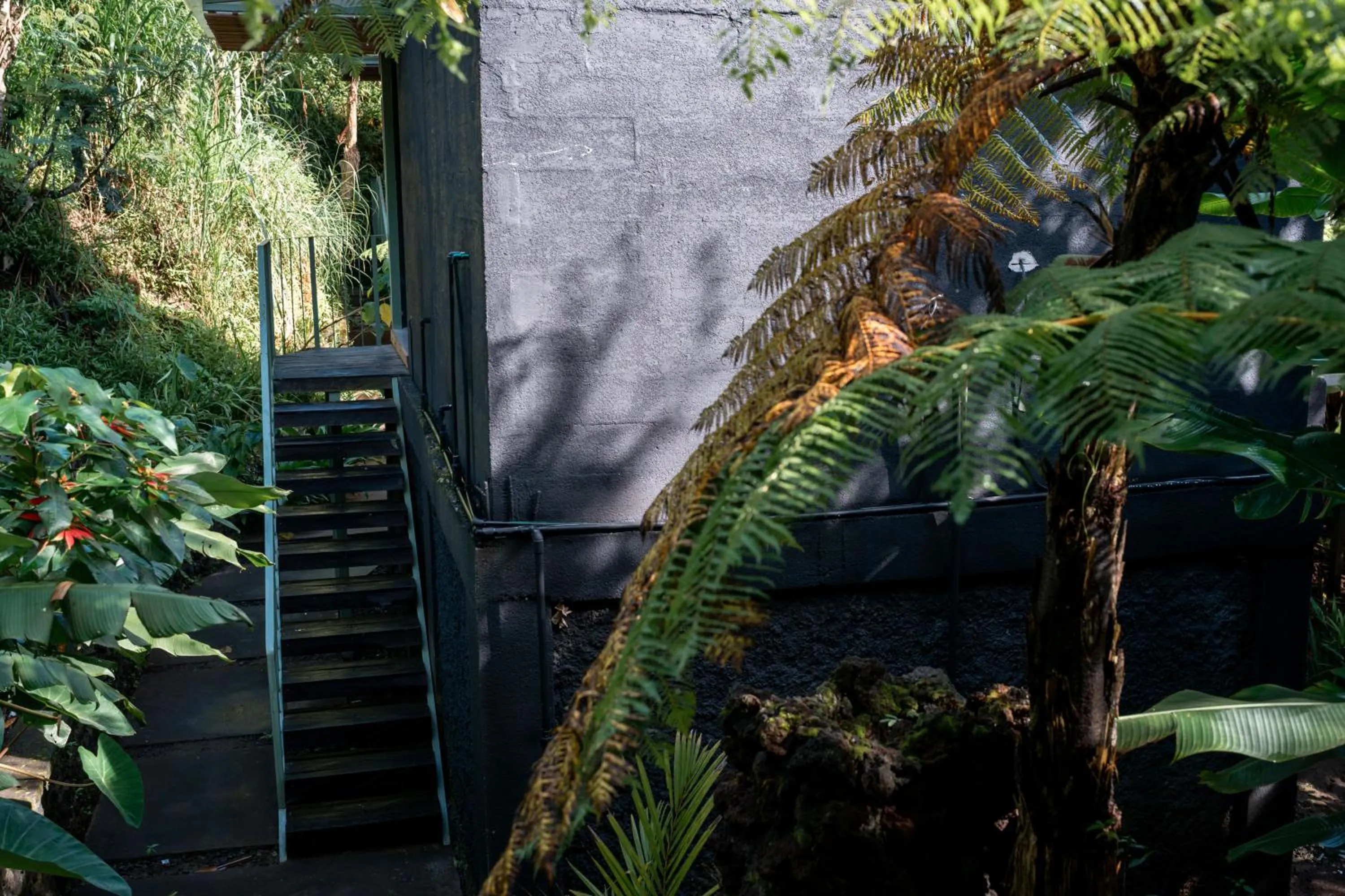 Garden view in Black Wood Cabin