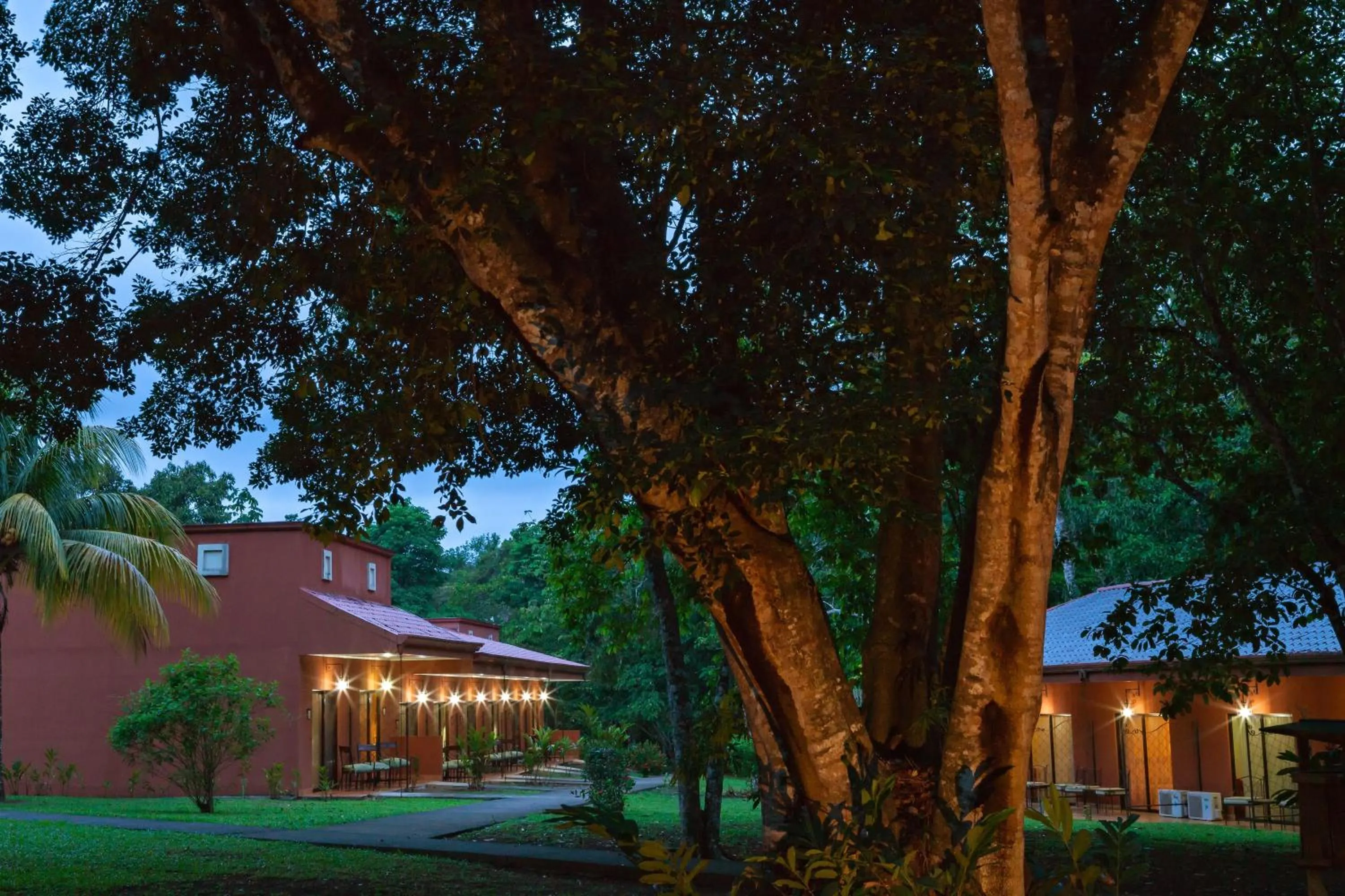 Garden in Natural Lodge Caño Negro