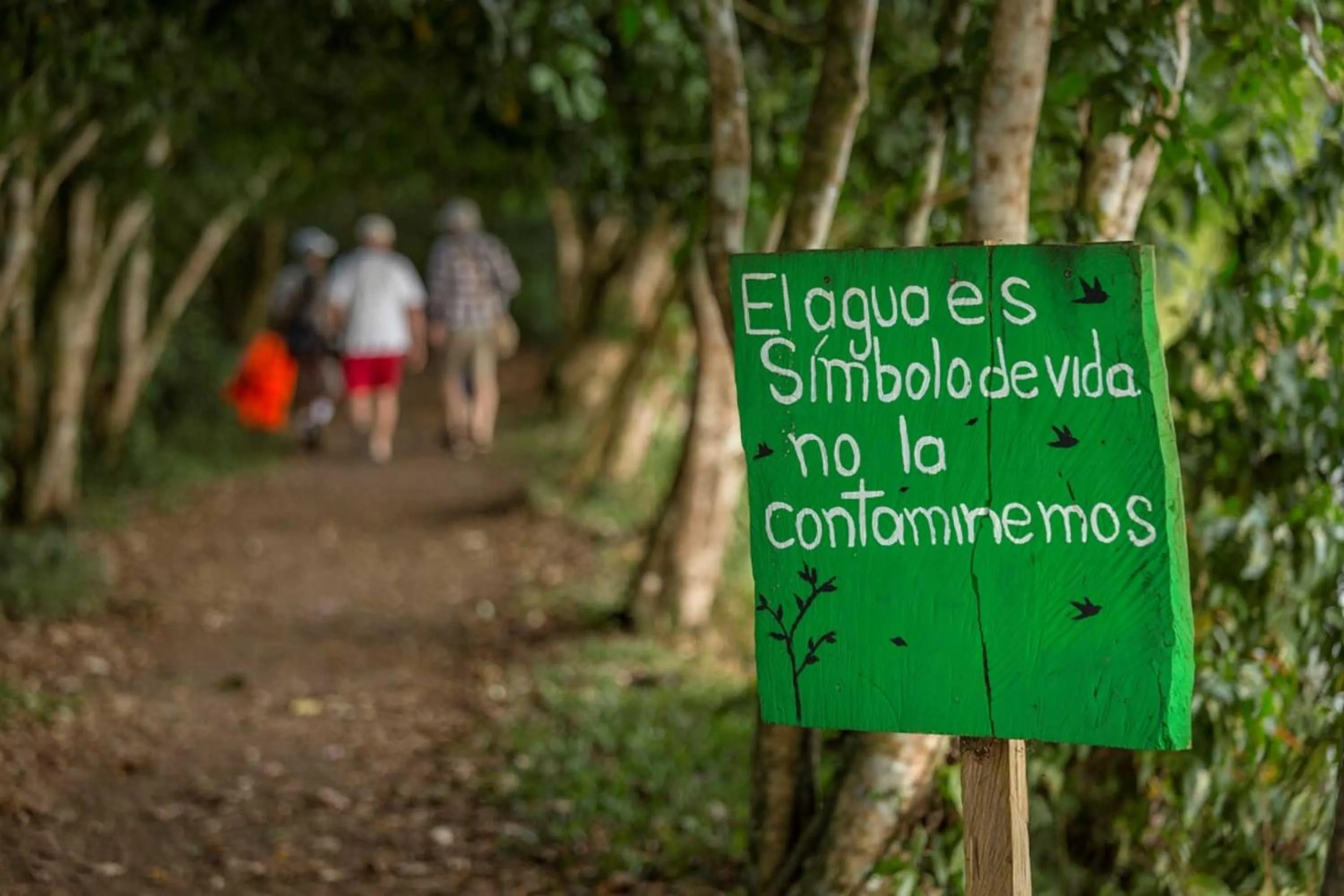 Activities in Natural Lodge Caño Negro