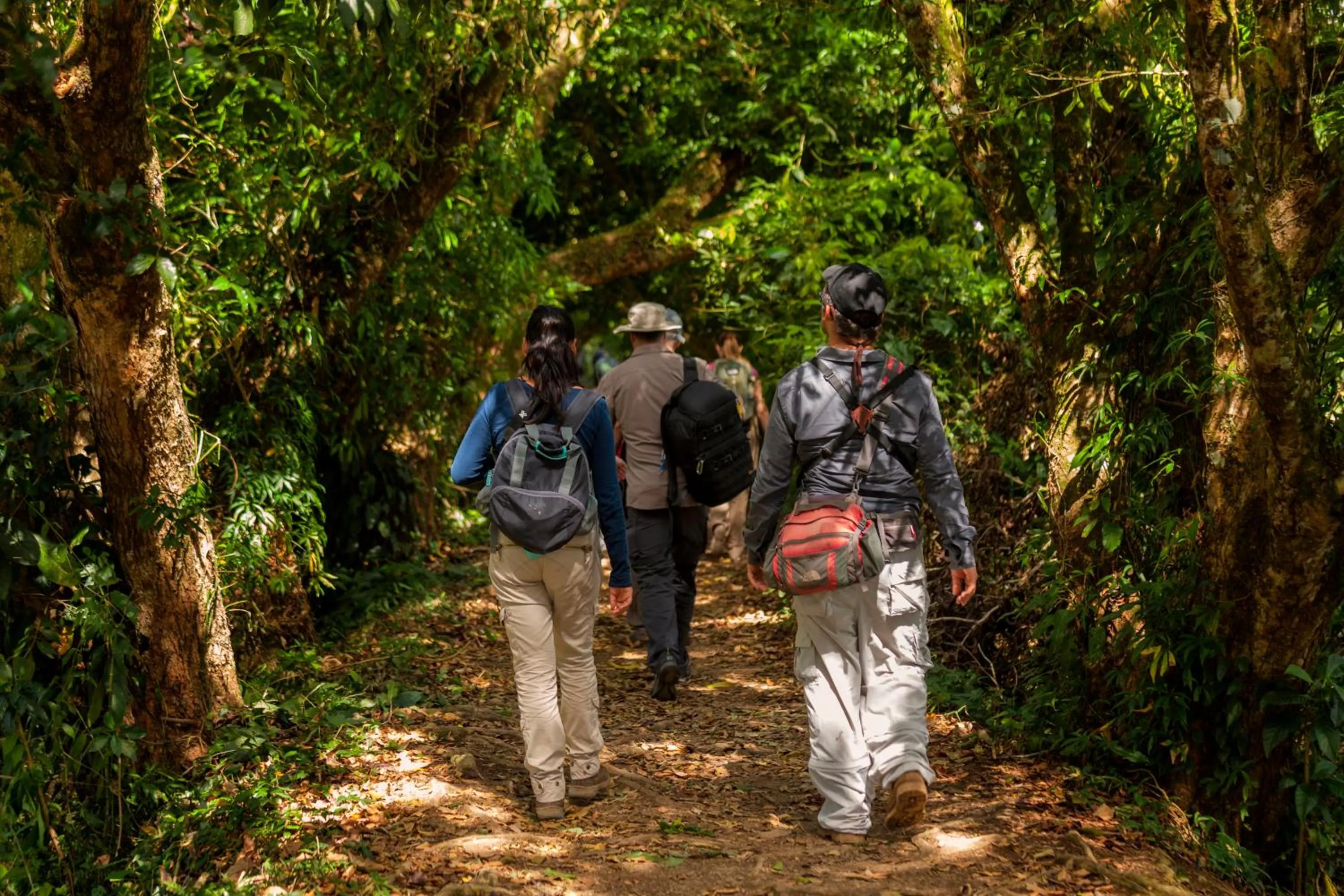 Hiking in Natural Lodge Caño Negro