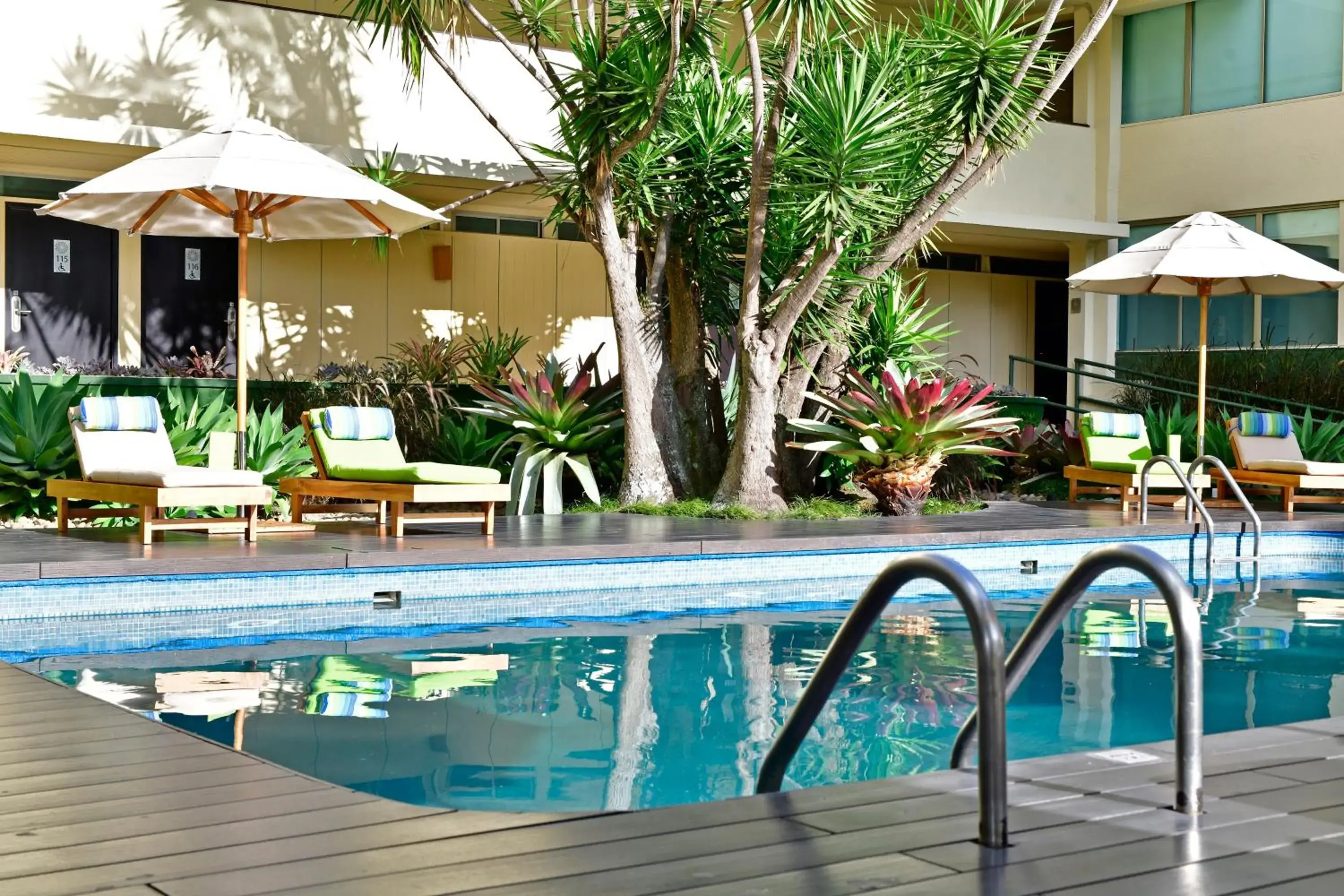 Pool view in Auténtico Hotel Pool view in Auténtico Hotel