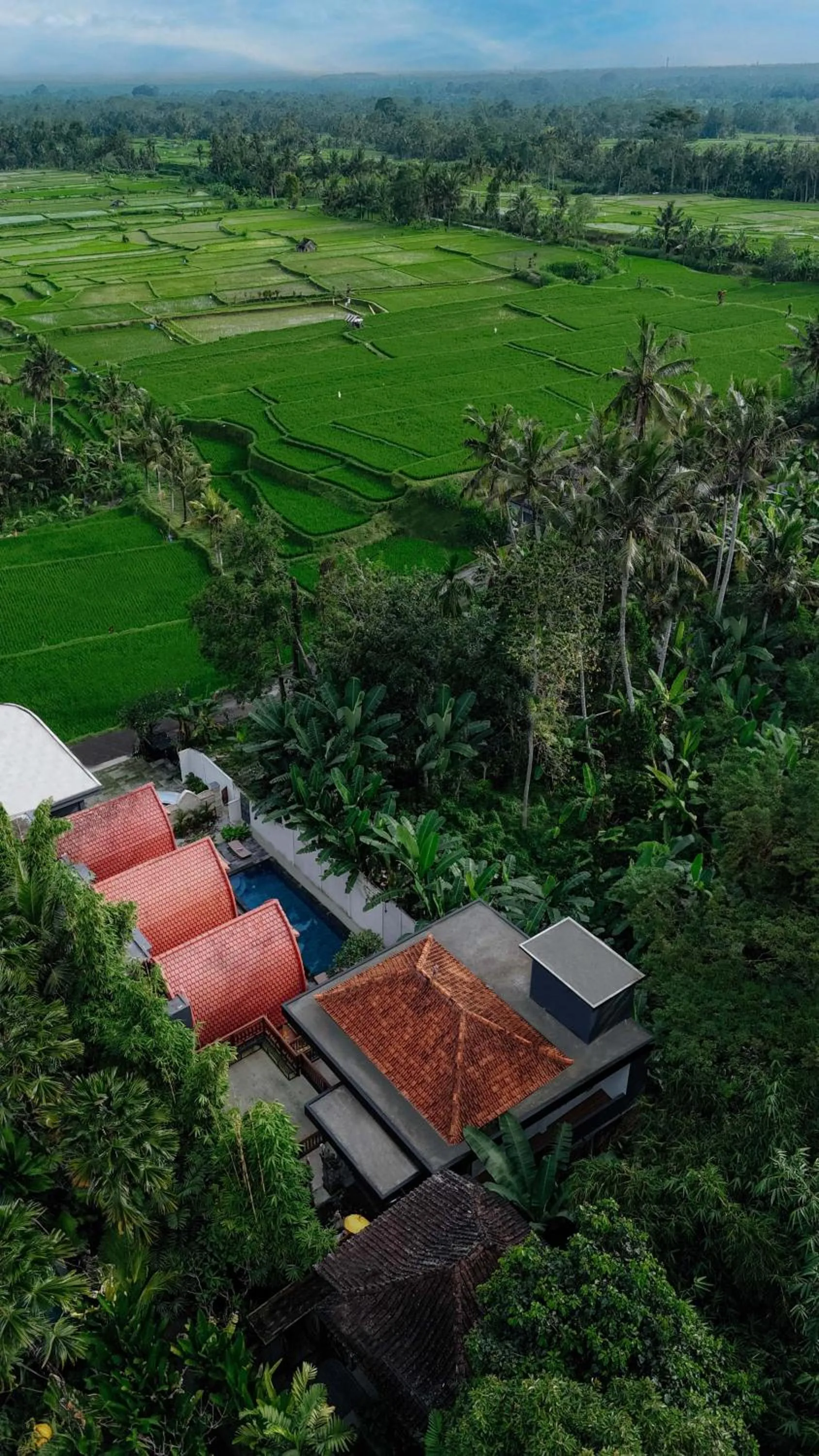 Natural landscape in Uma Nandhi Villa Ubud