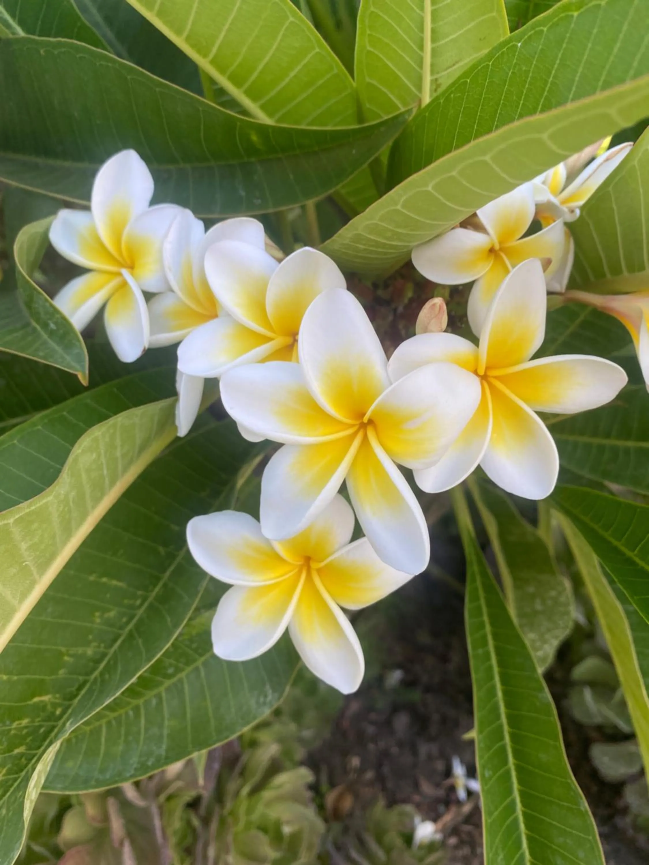 Sandy Bay Holiday Park