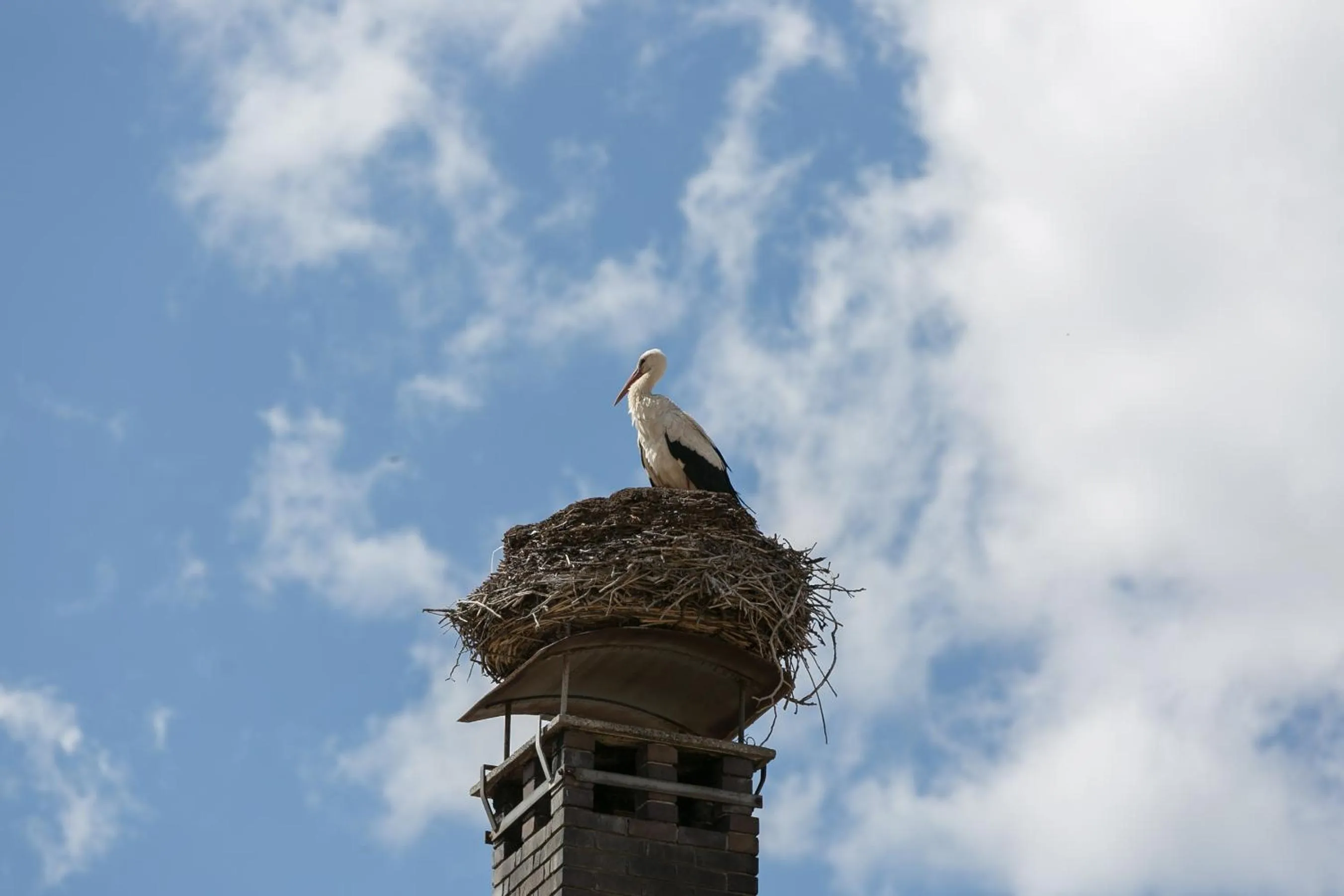 Property building in Stadthotel zur goldenen Krone